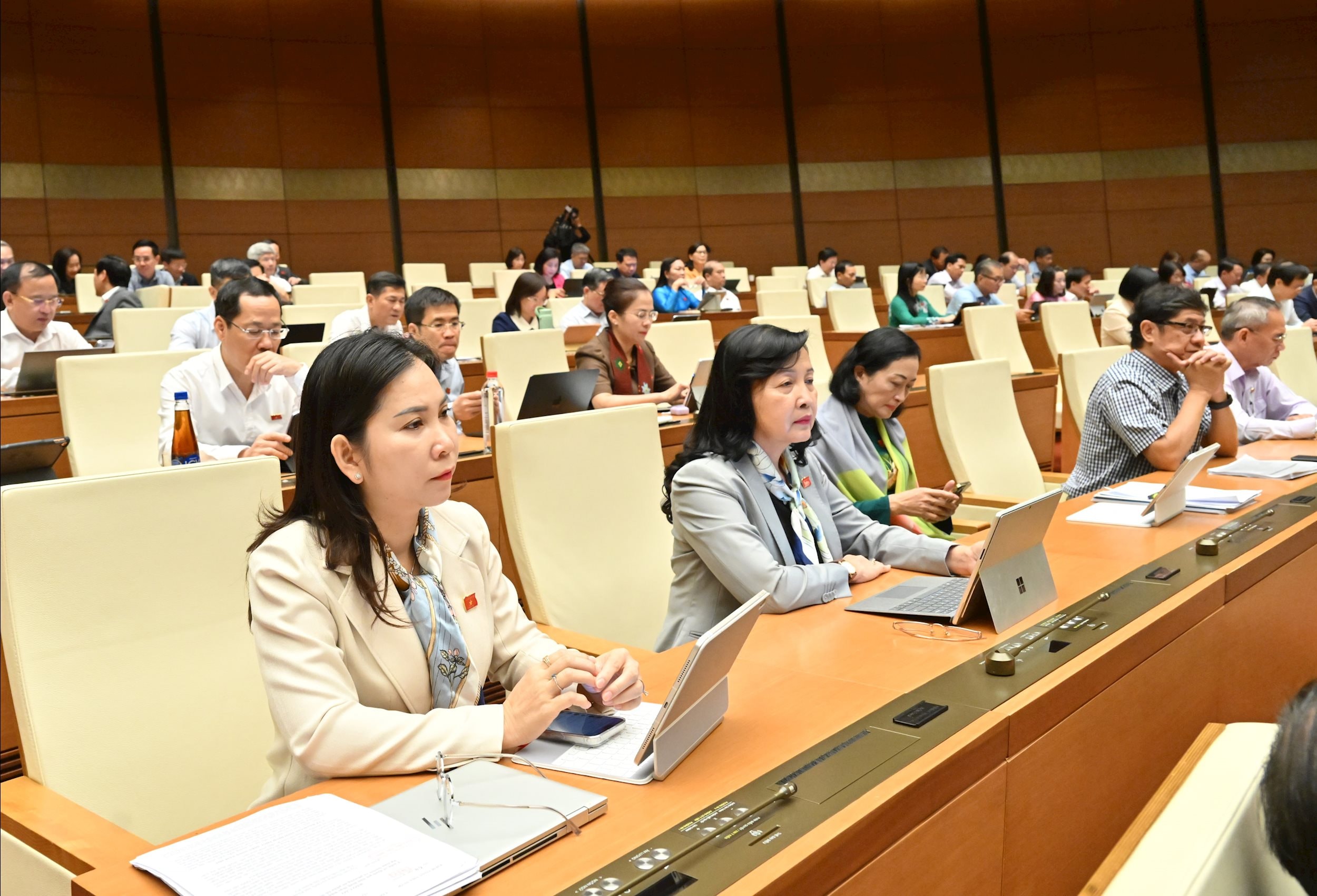 Các đại biểu tại phiên họpVQK_3064