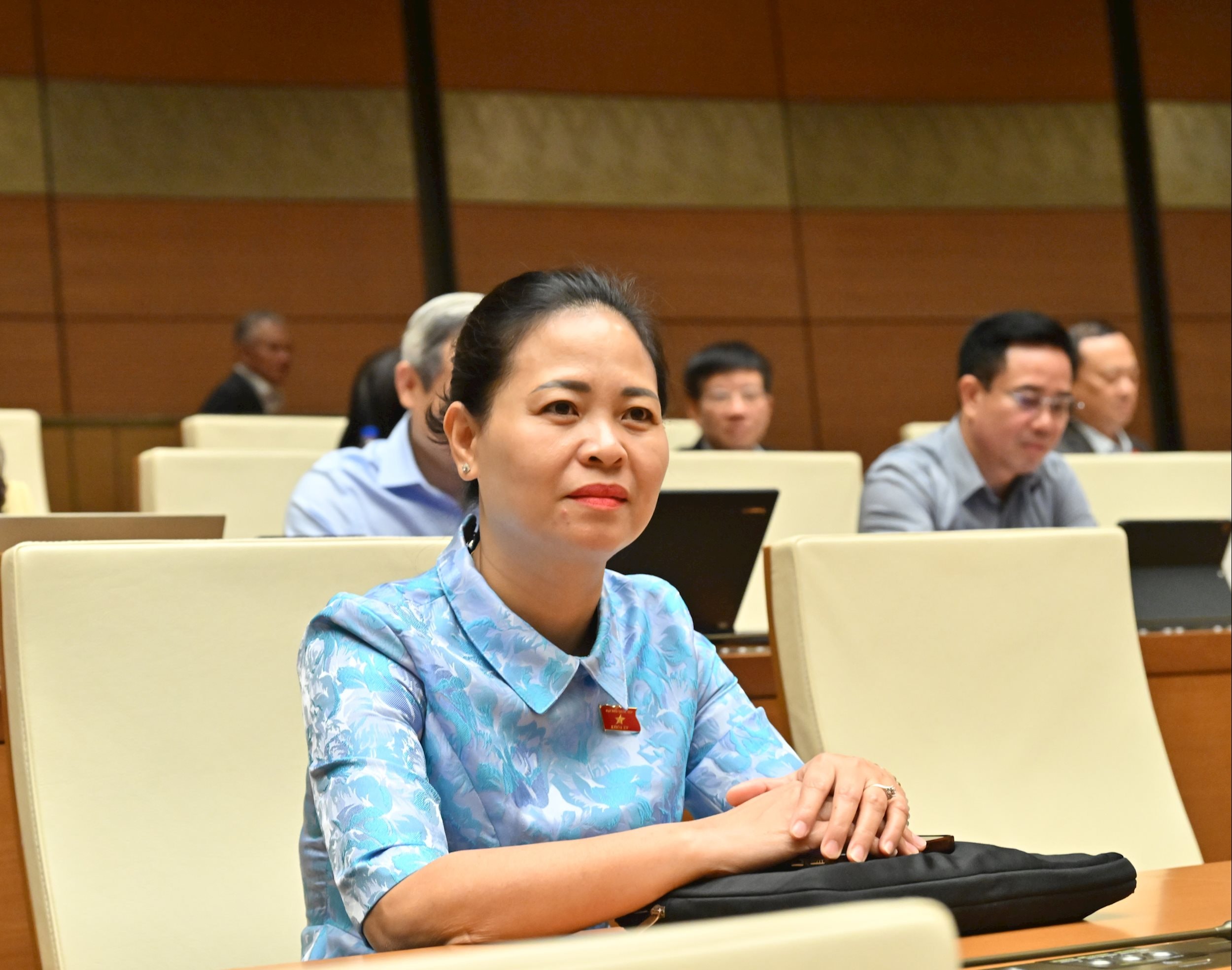 Các đại biểu tại phiên họpVQK_3074