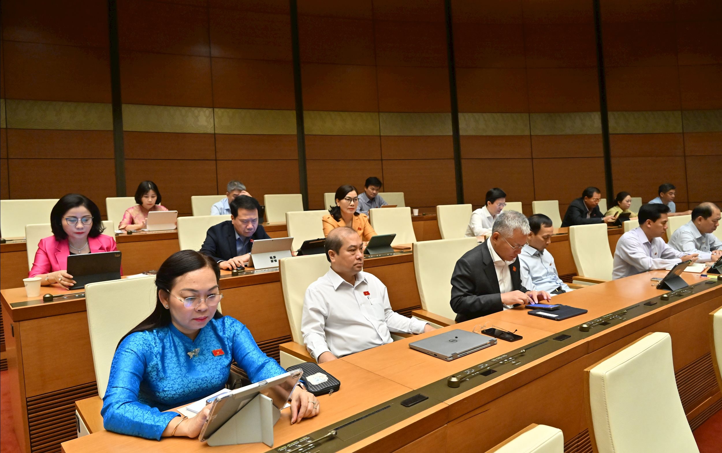 Các đại biểu tại phiên họpVQK_3091