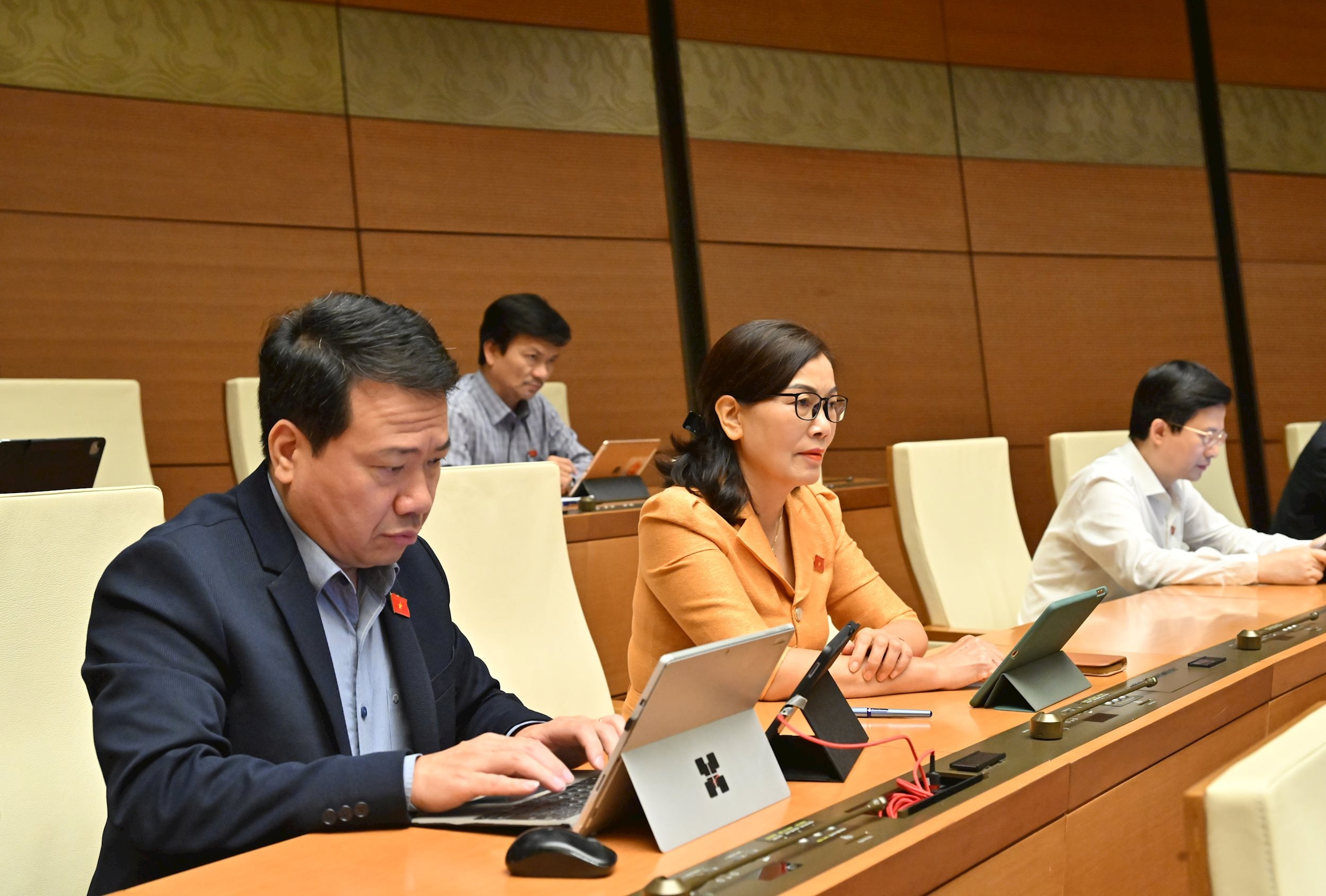 Các đại biểu tại phiên họpVQK_3095