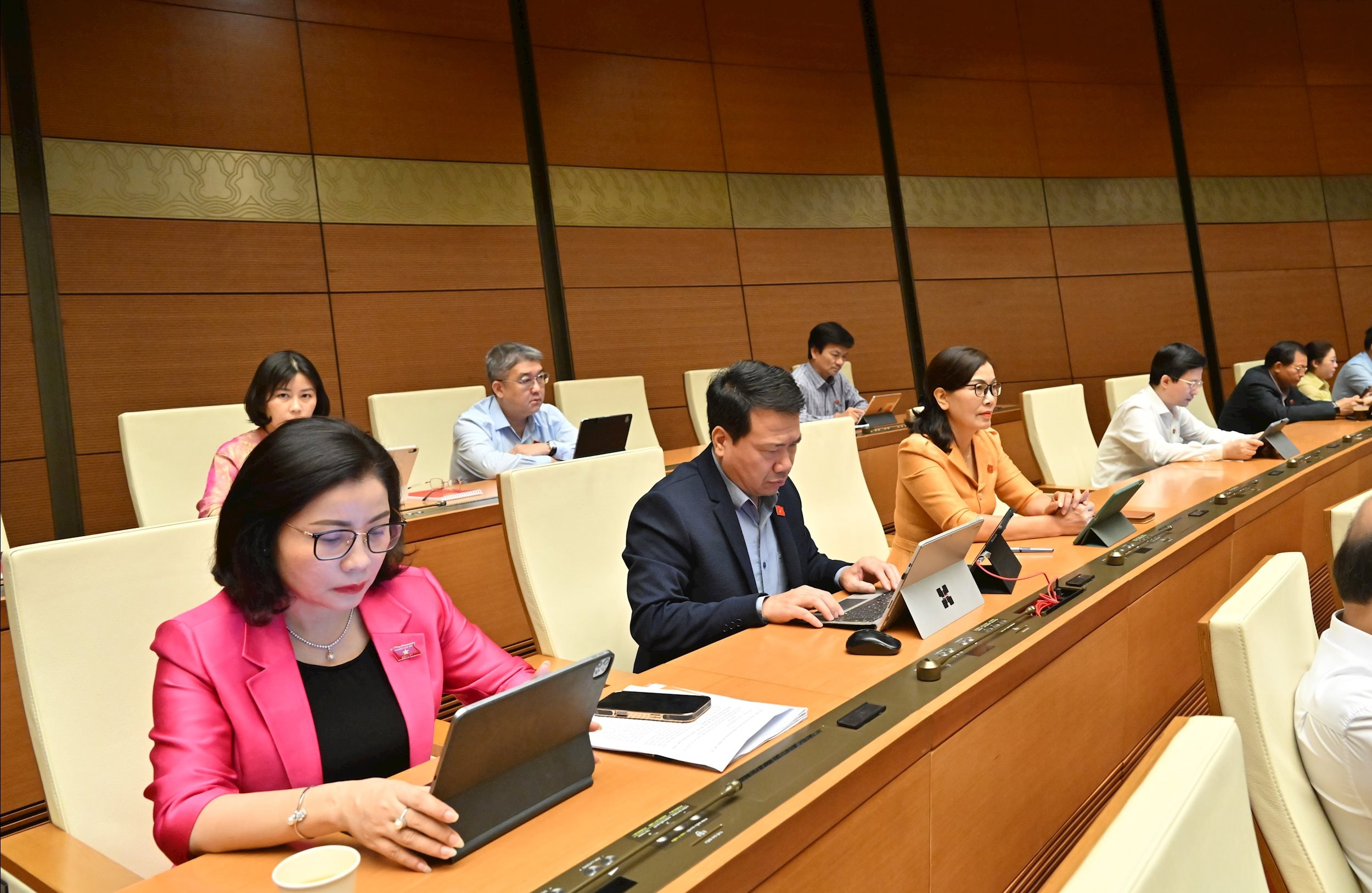 Các đại biểu tại phiên họpVQK_3099