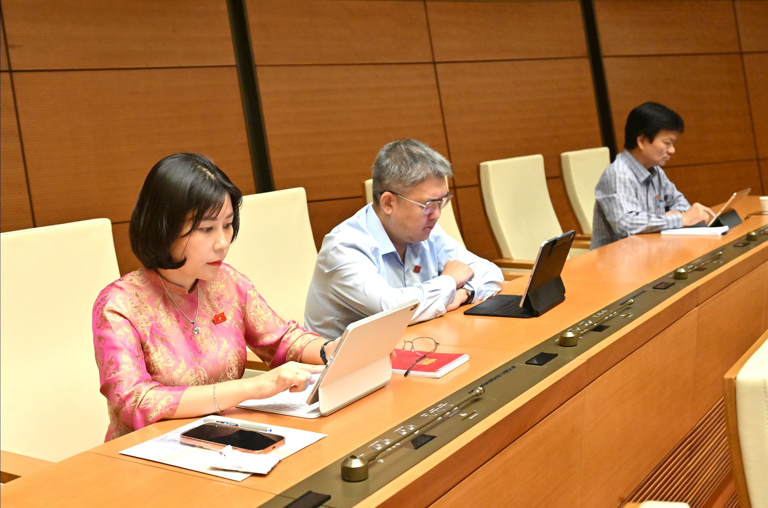 Các đại biểu tại phiên họpVQK_3104