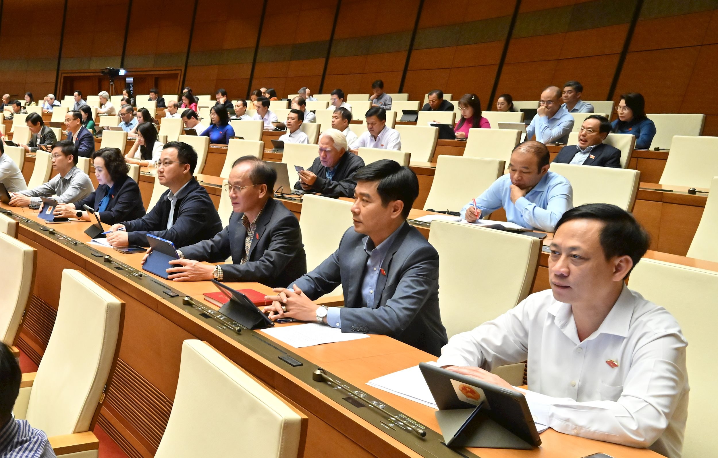 Các đại biểu tại phiên họpVQK_3367