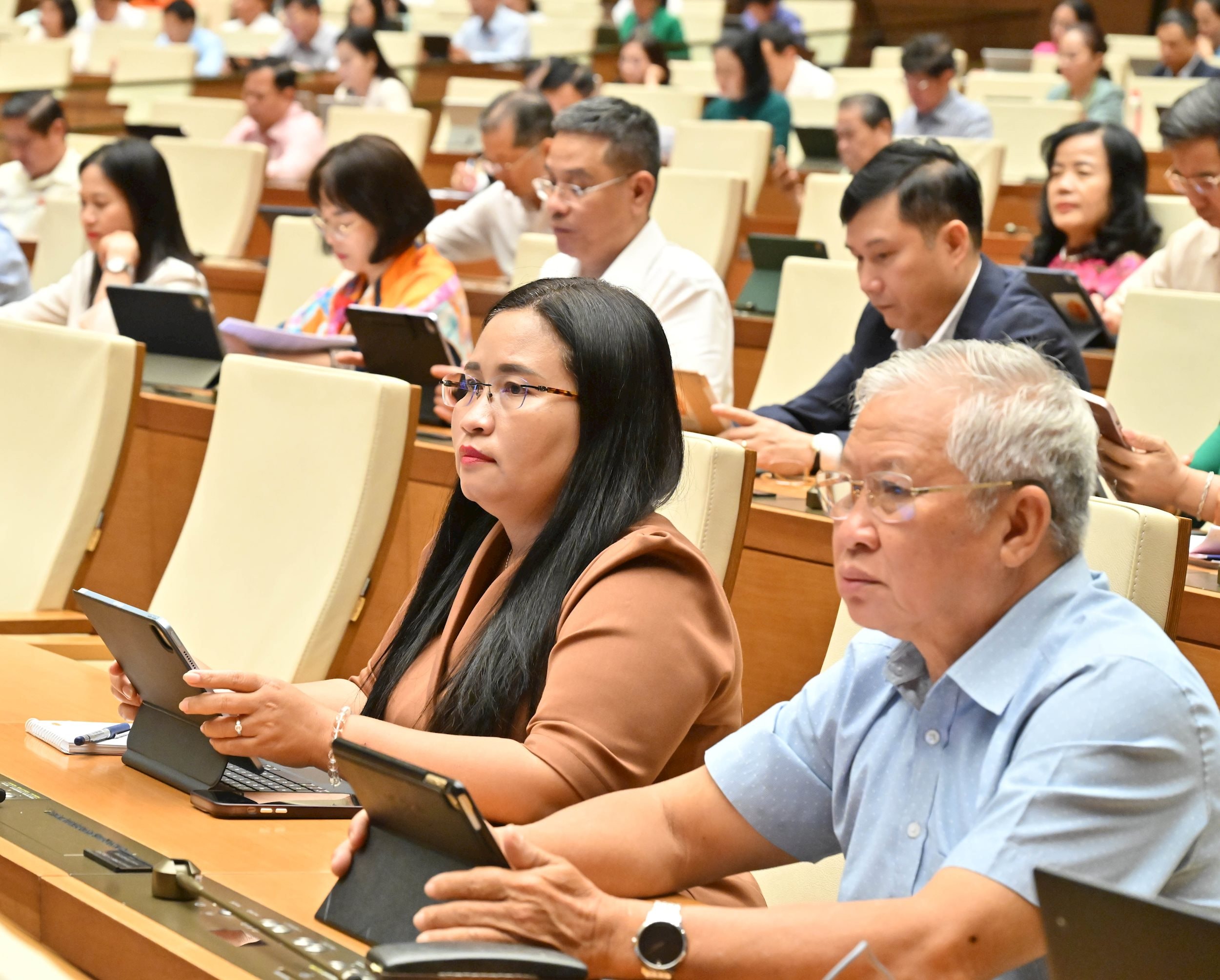 Các đại biểu tại phiên họpVQK_3375