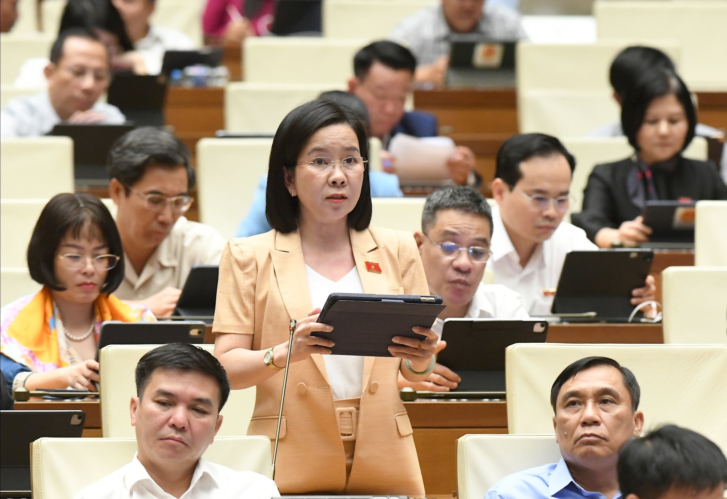 प्रतिनिधि हा होंग हान, खान होआ प्रतिनिधिमंडल