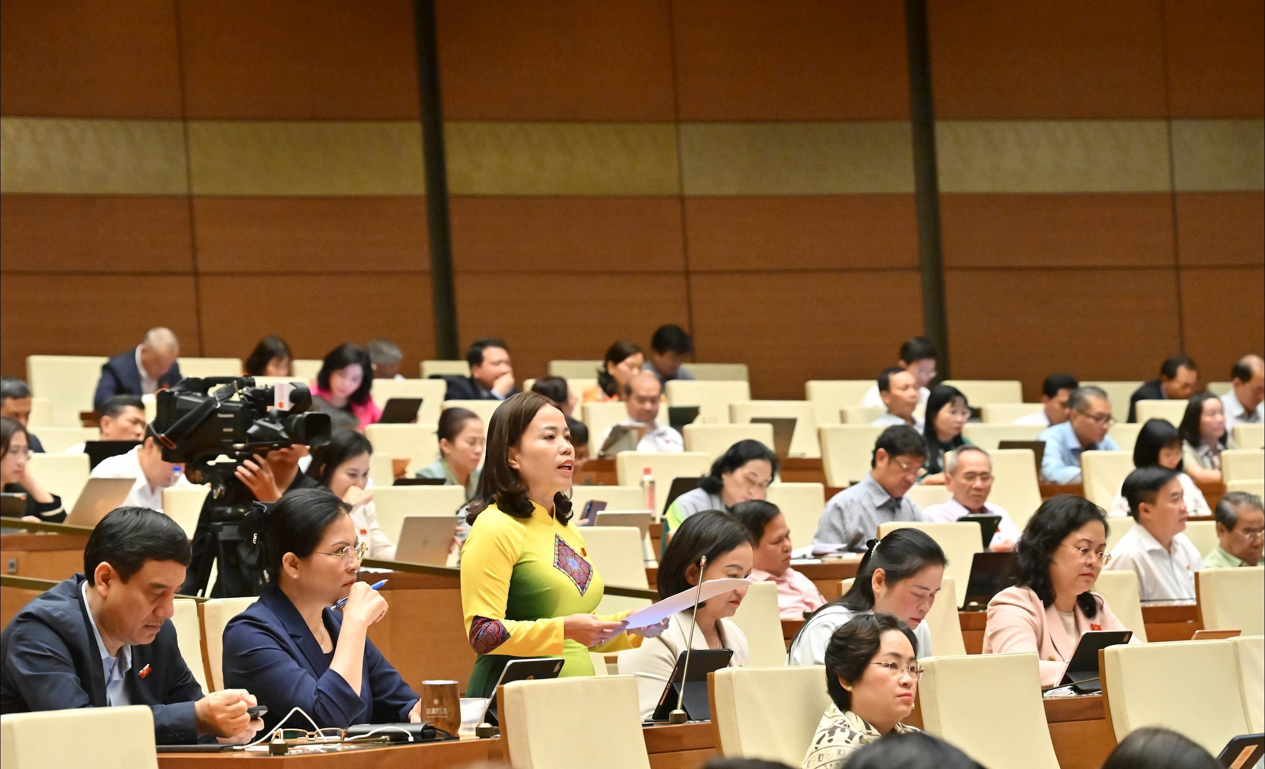 नेशनल असेंबली के प्रतिनिधि ली थी लैन (तुयेन क्वांग)