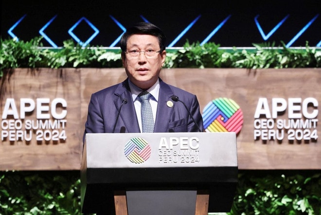 chu-tich-nuoc-ceo-summit-3-4342.jpg