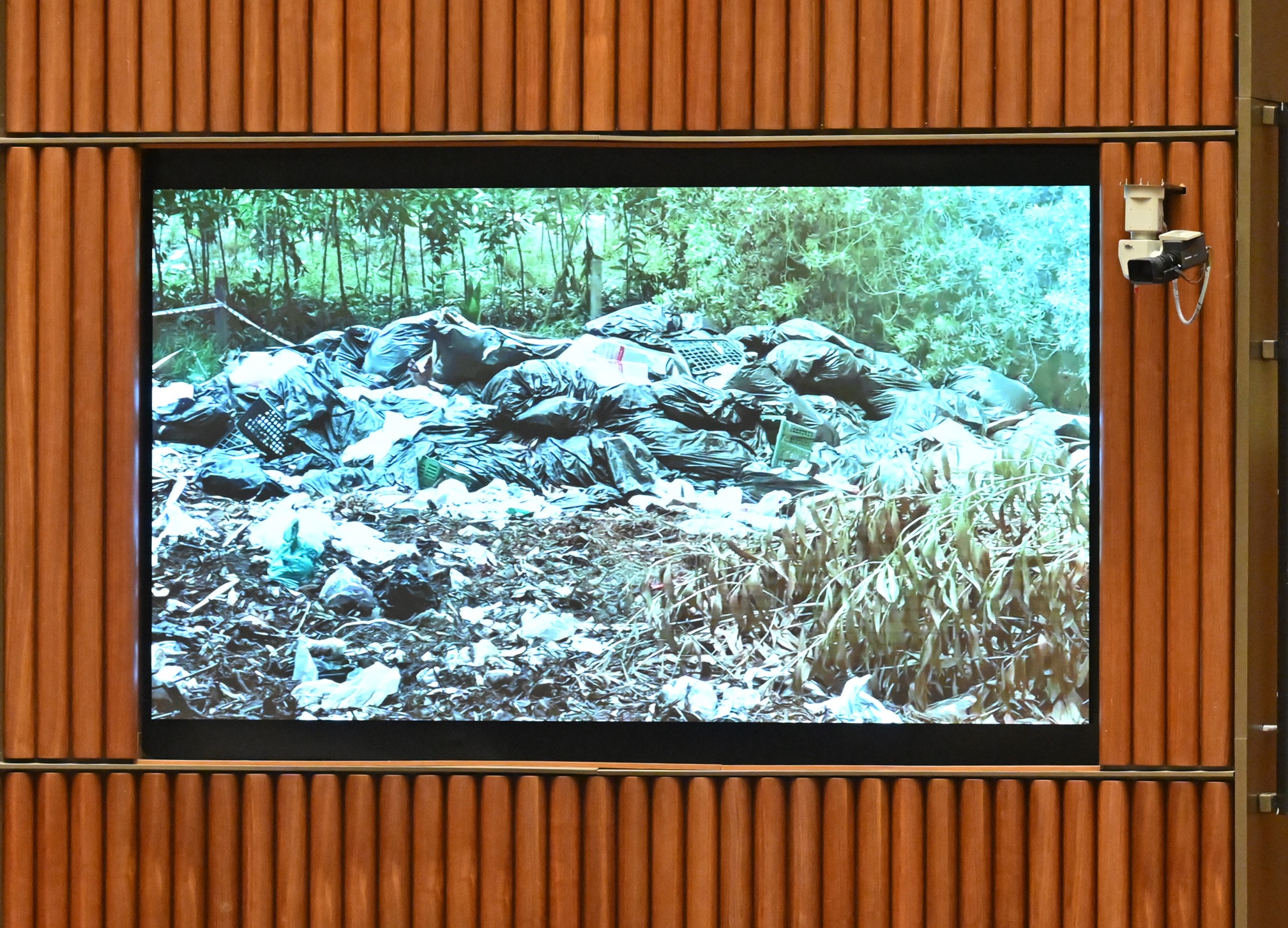 Quốc hội xem phim đoàn giám sátVQK_3113