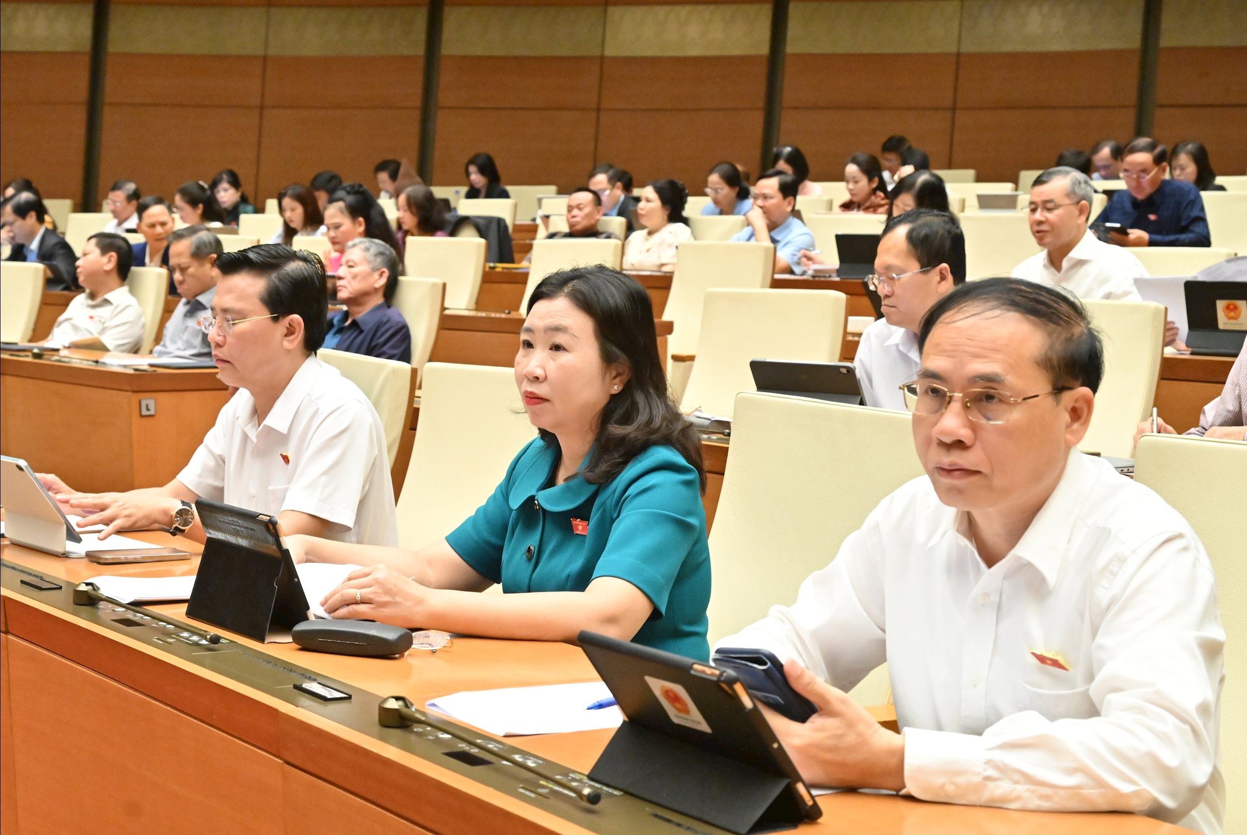 Các đại biểu tại phiên họpVQK_3523