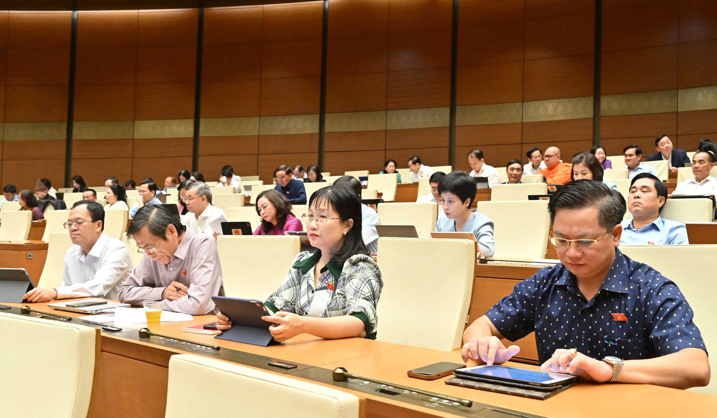 Các đại biểu tại phiên họpVQK_3525