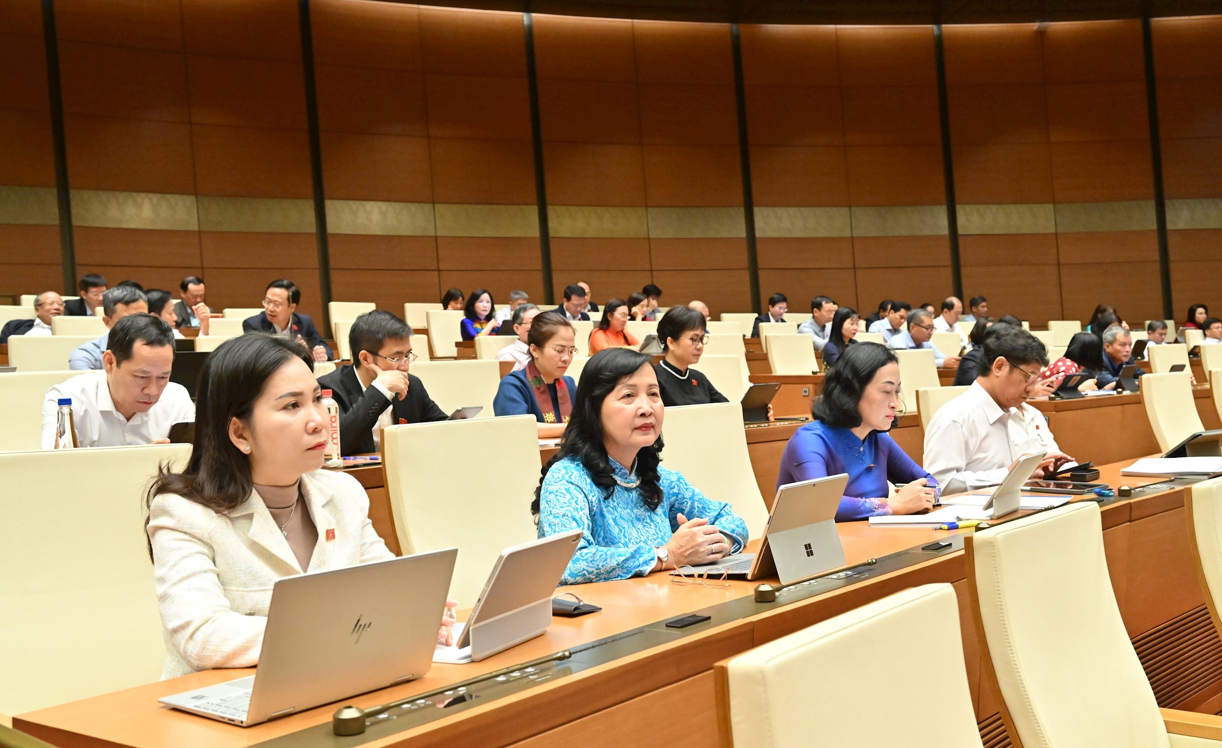 Các đại biểu tại phiên họpVQK_3526