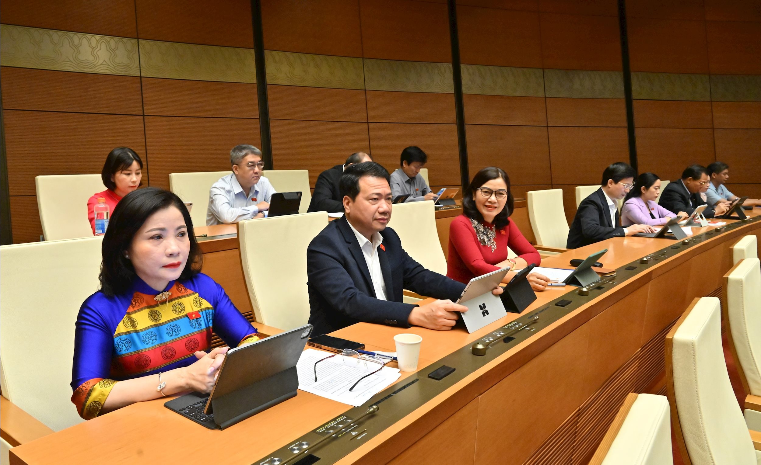 Các đại biểu tại phiên họpVQK_3545