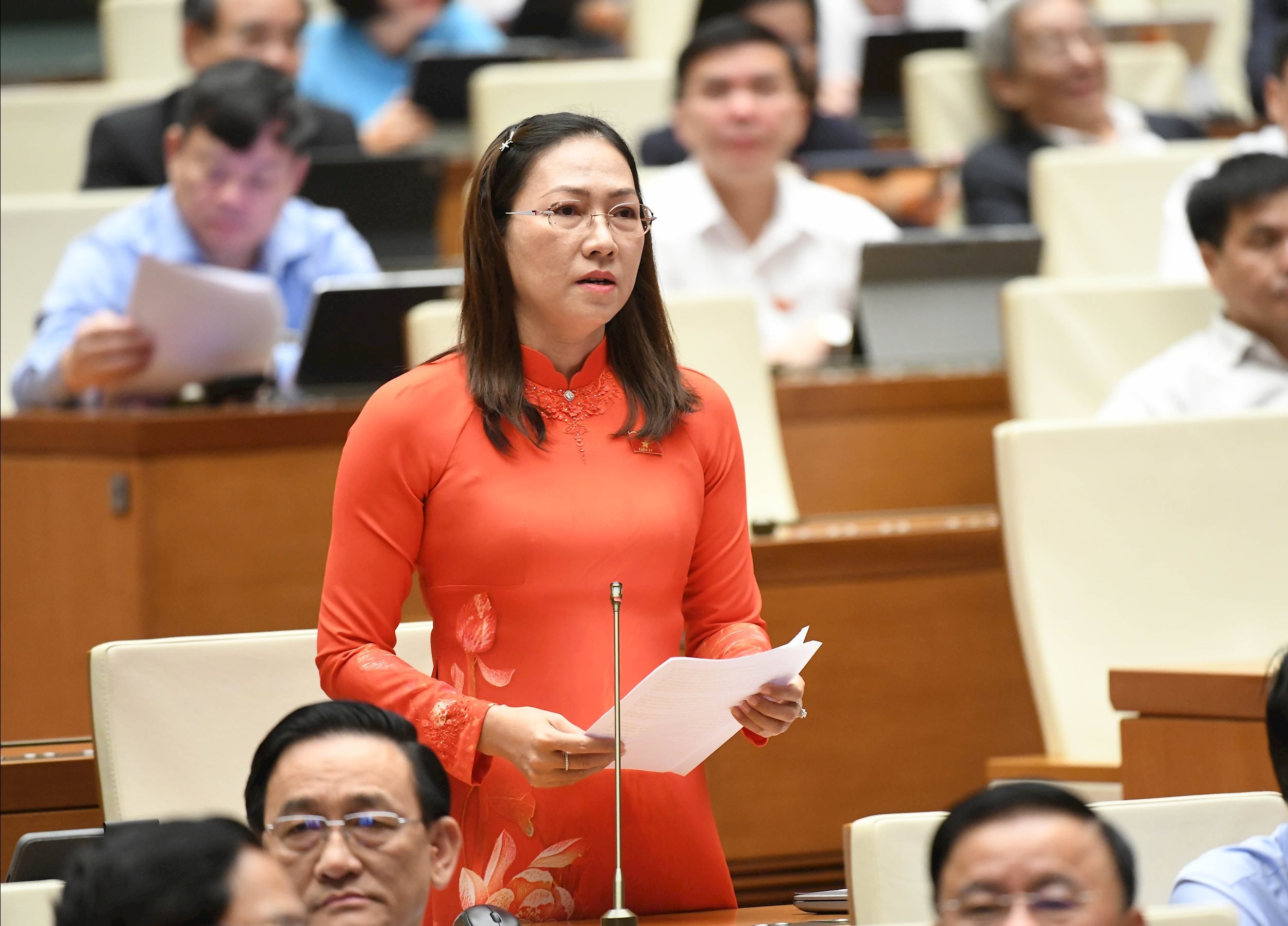 Đại biểu Nguyễn Thị Yến Nhi, Đoàn Vĩnh Long