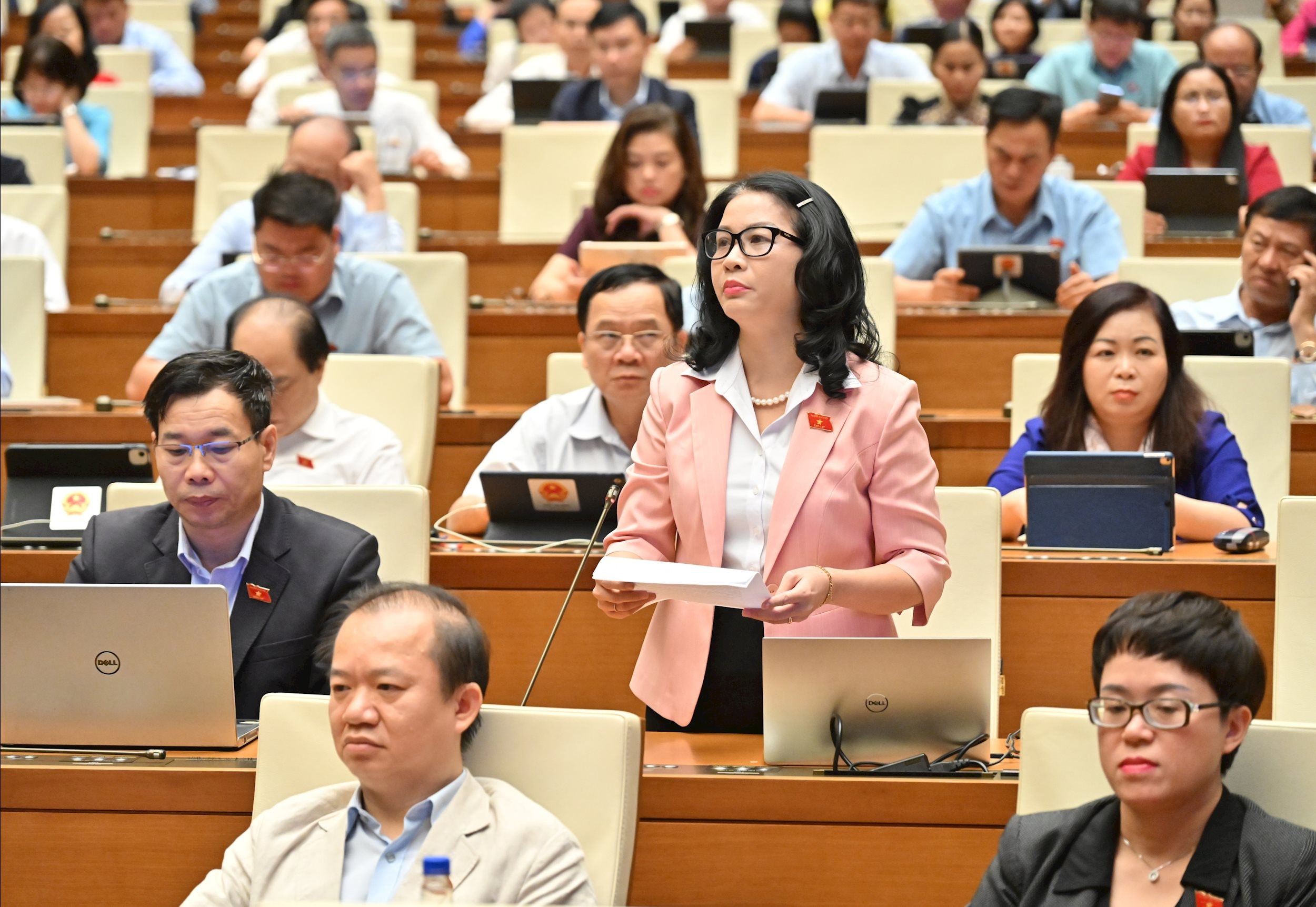 ĐBQH Nguyễn Thị Lan (Hà Nội)VQK_4162