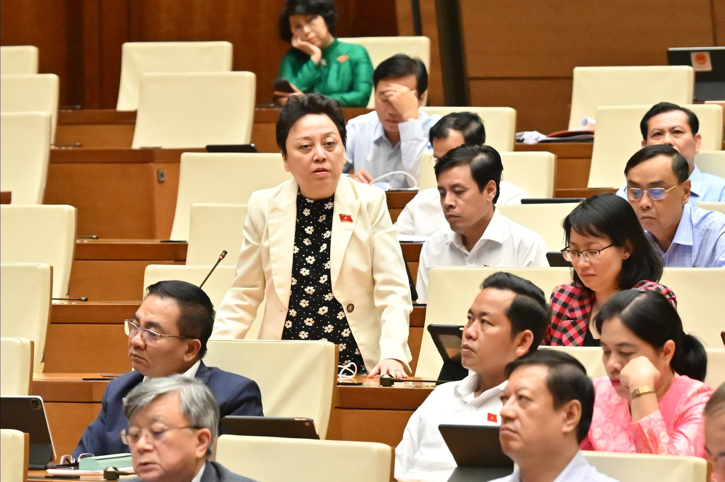 ĐBQH Phạm Khánh Phong Lan (TP Hồ Chí Minh)