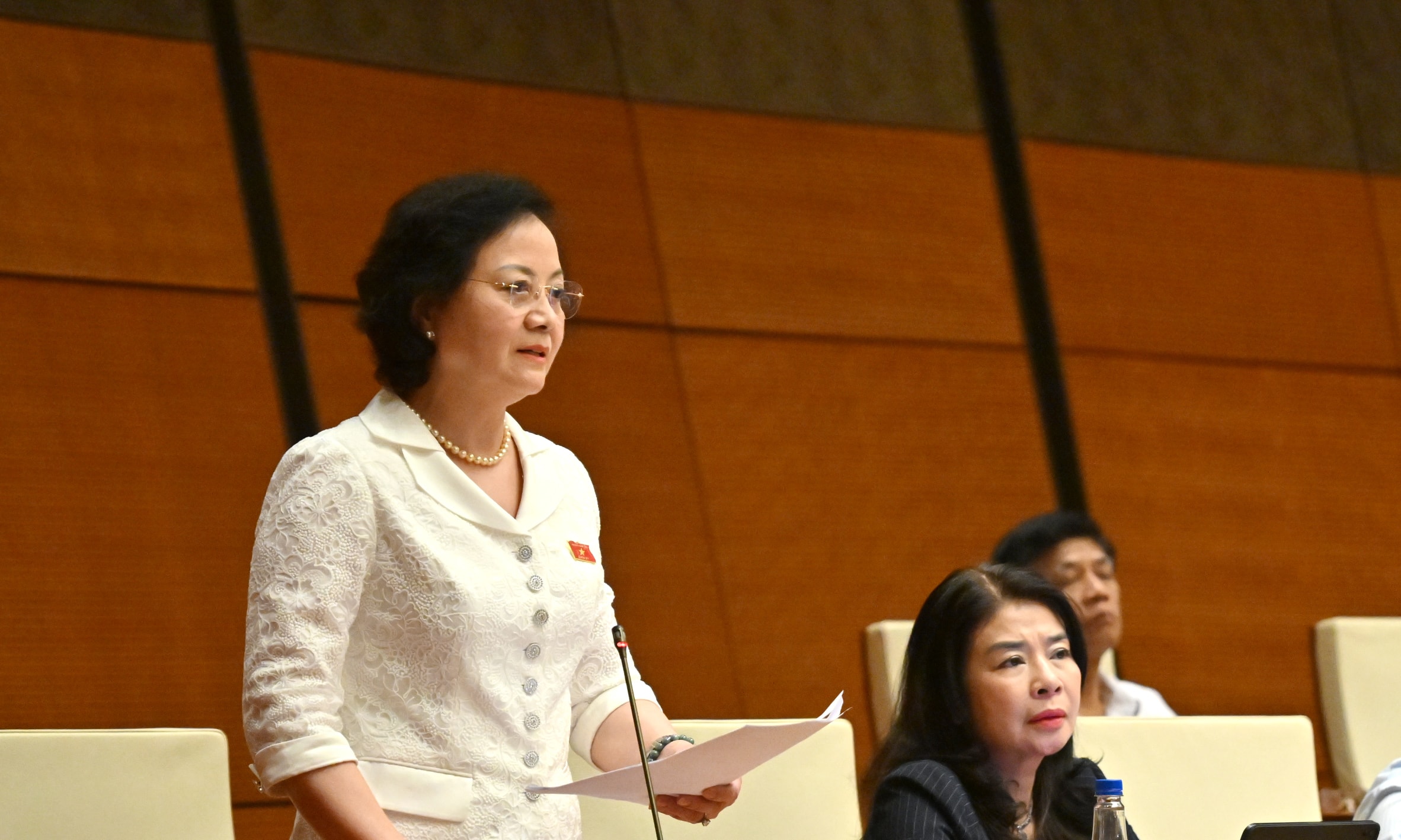 Phó Thủ tướng Phạm Thị Thanh TràVQK_4025