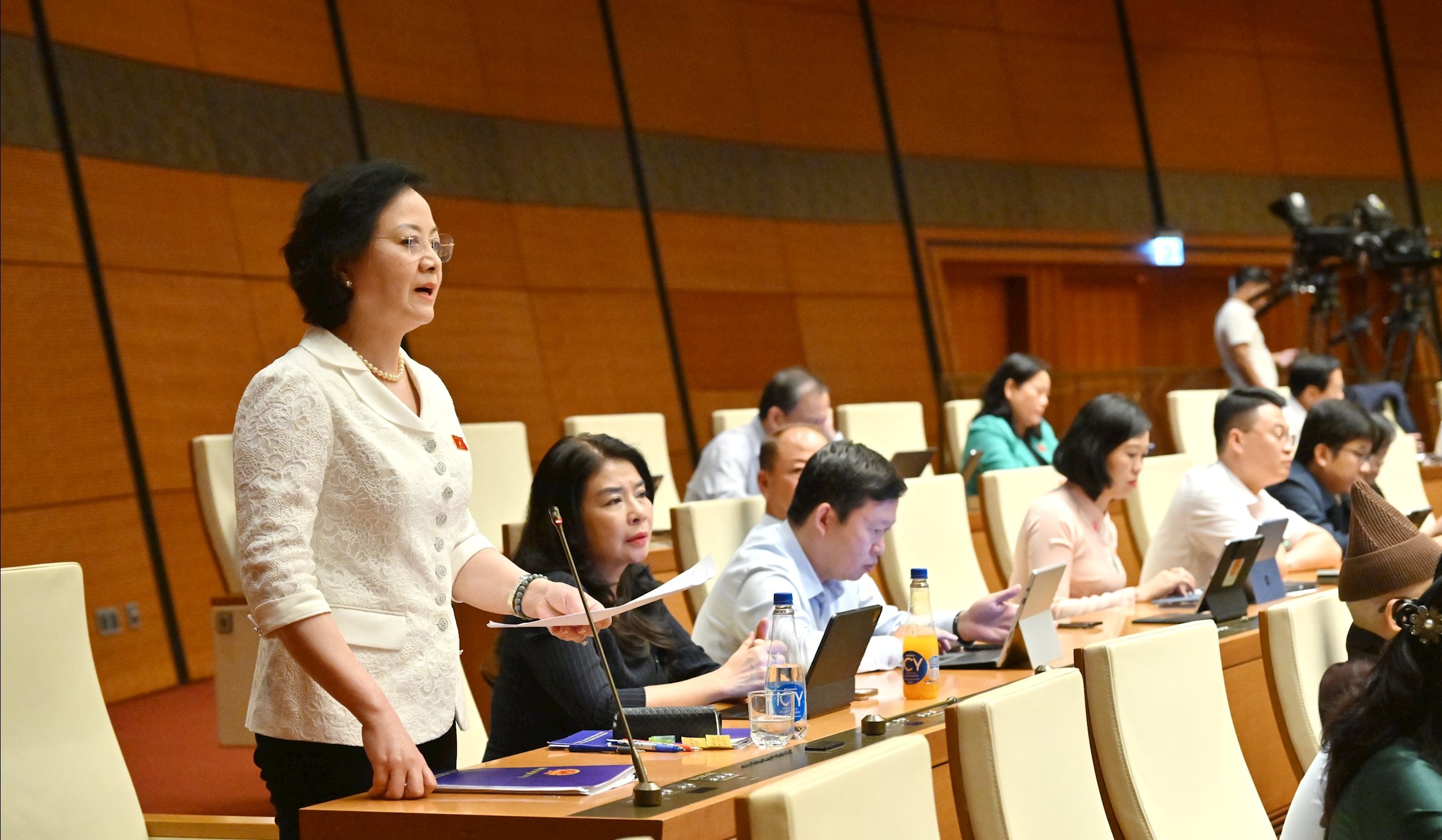 Phó Thủ tướng Phạm Thị Thanh TràVQK_4036