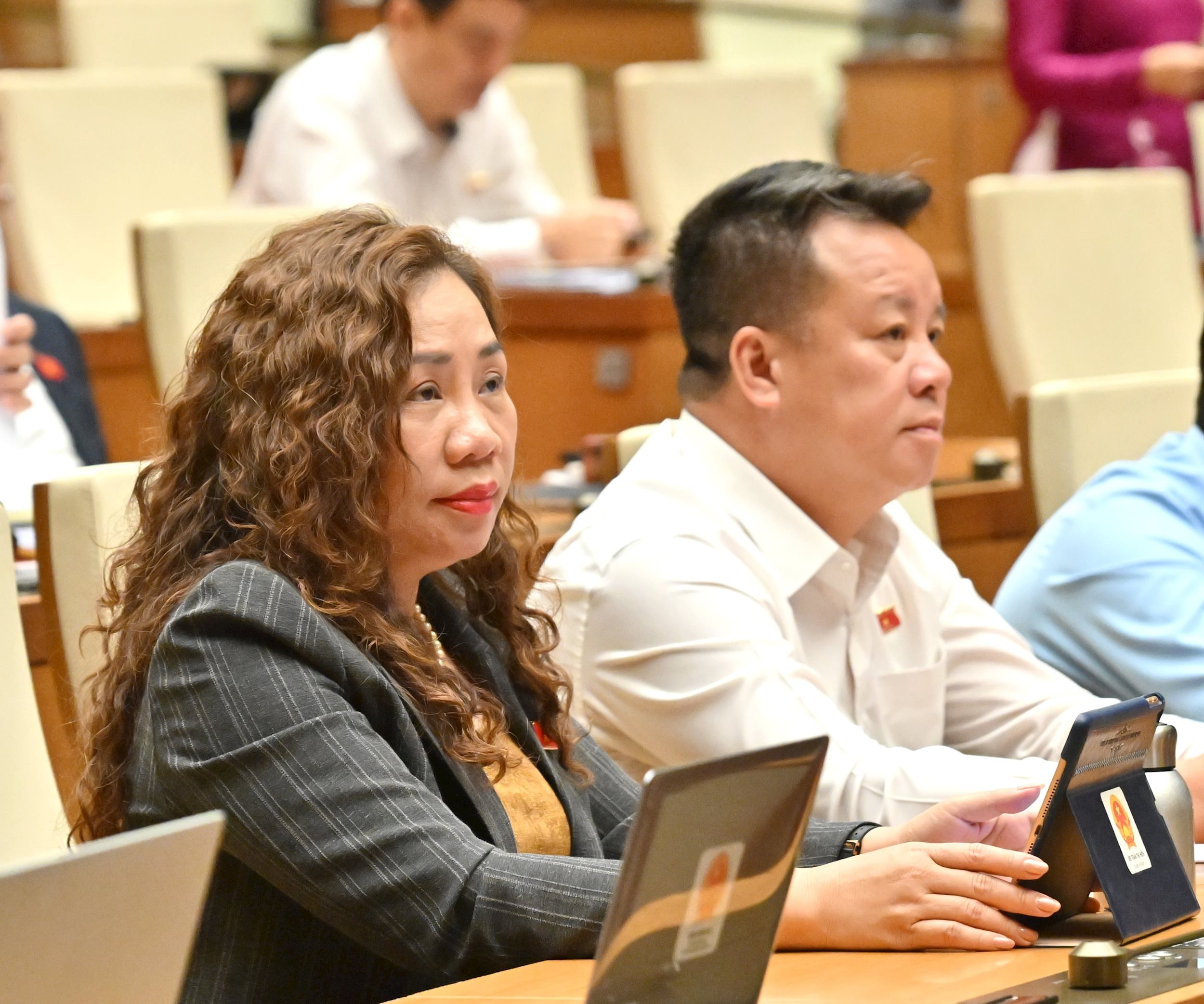 Các đại biểu tại phiên họpVQK_4428