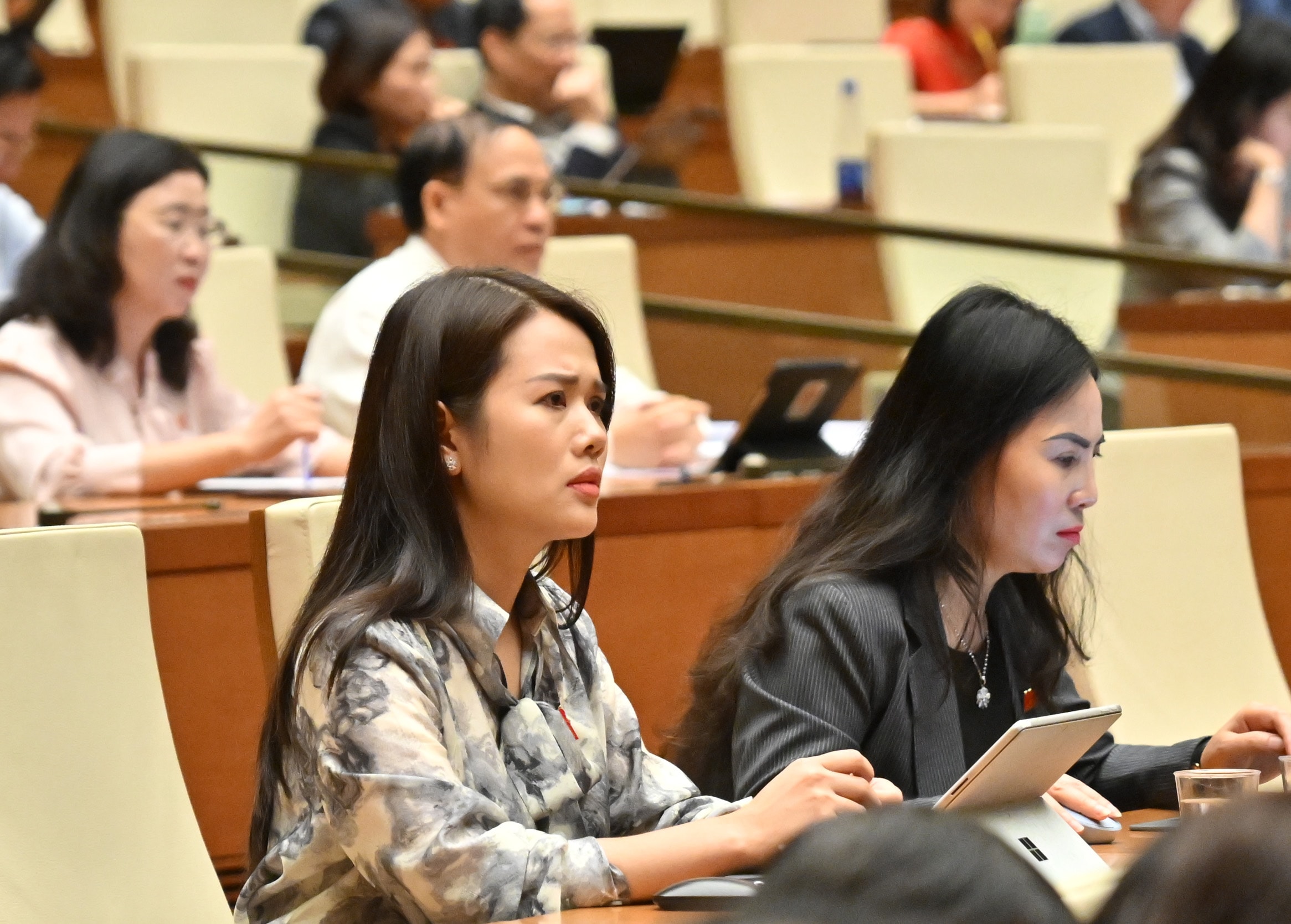 Các đại biểu tại phiên họpVQK_4436