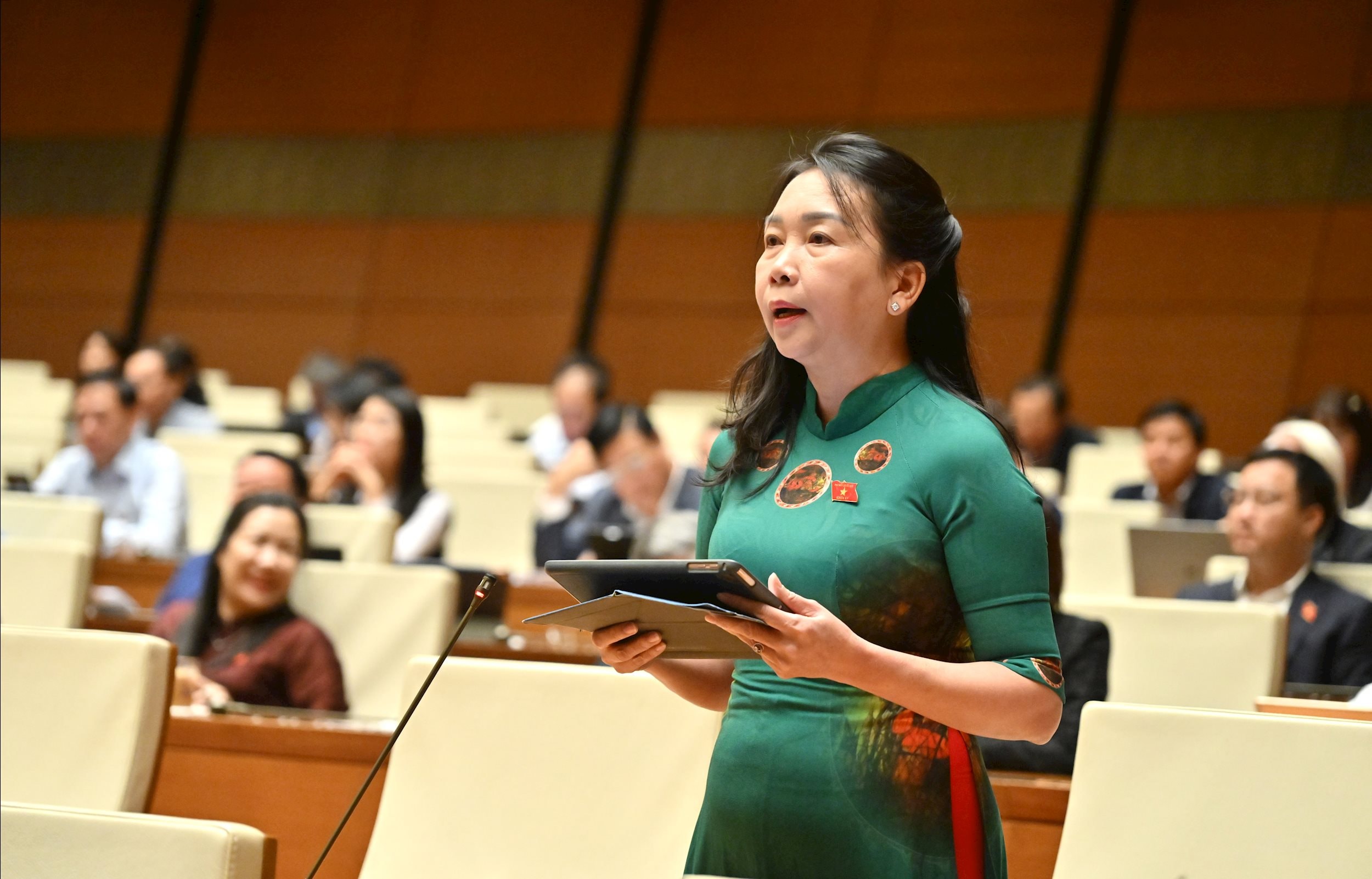 ĐBQH Lý Tiết Hạnh (Bình Định)VQK_4508