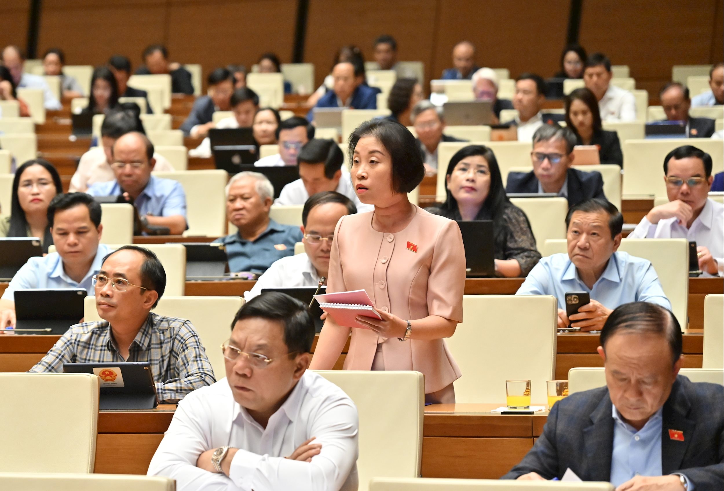 ĐBQH Phạm Thị Thanh Mai (Hà Nội)VQK_4569