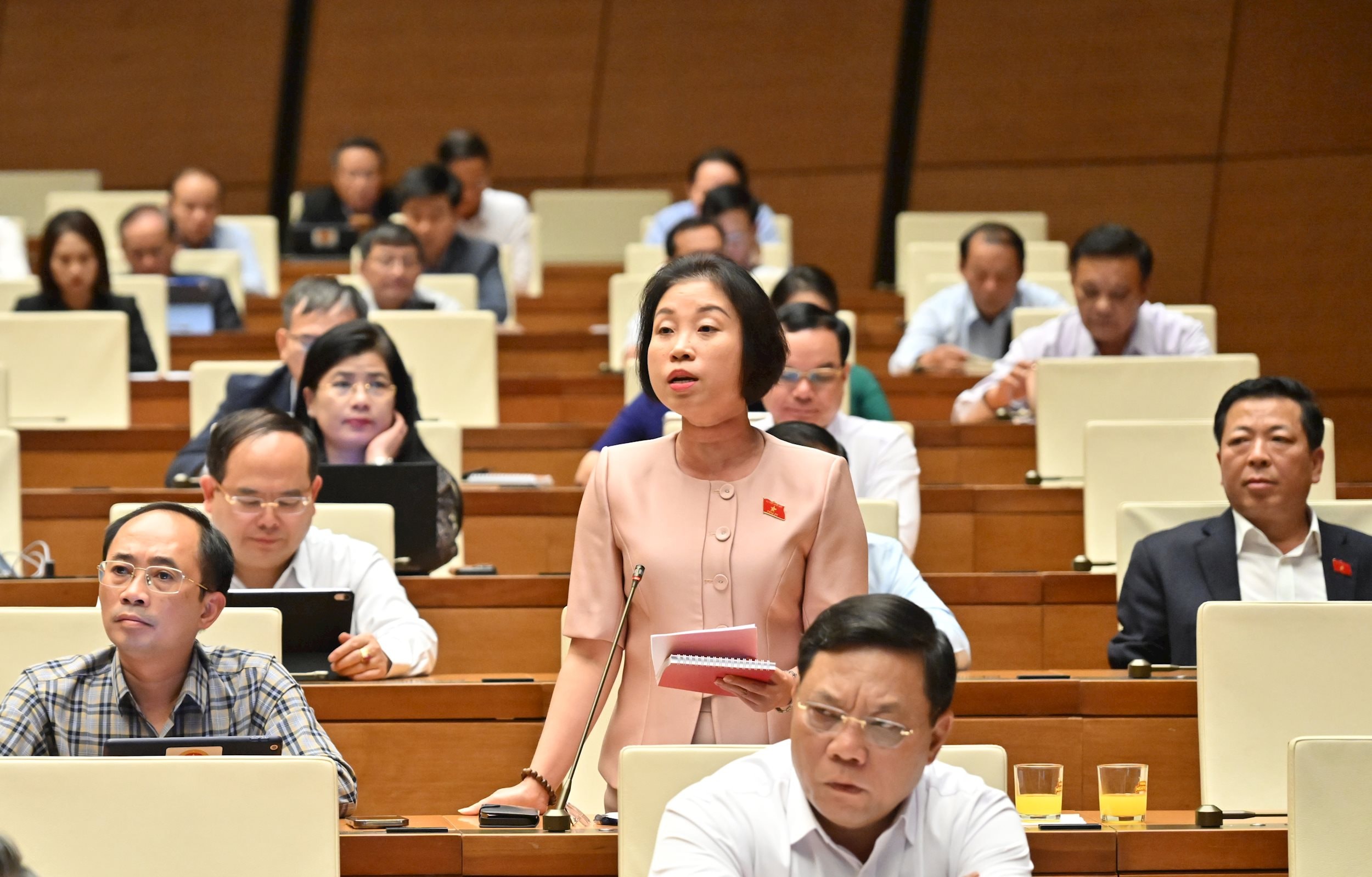 ĐBQH Phạm Thị Thanh Mai (Hà Nội)VQK_4578