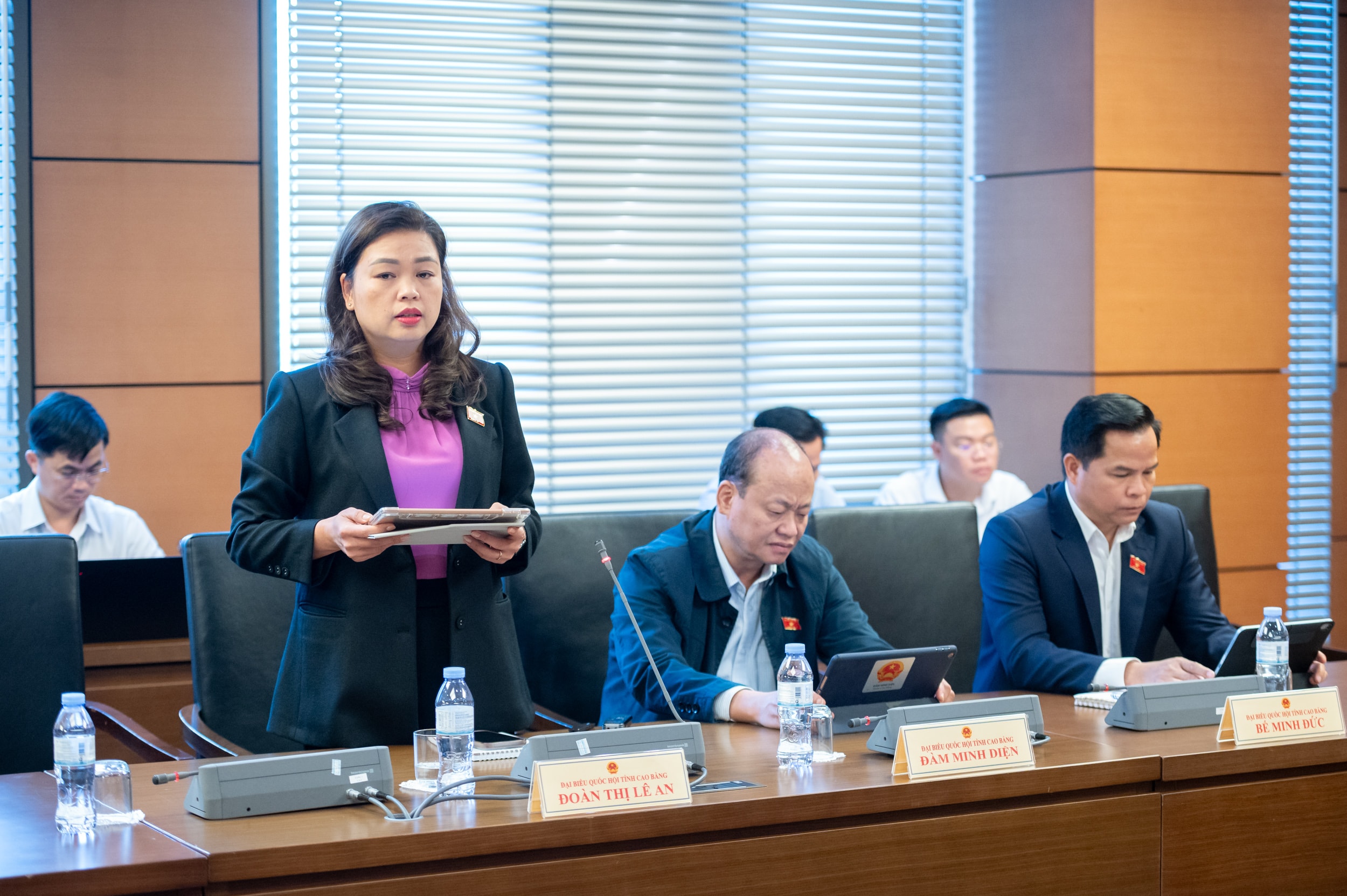 राष्ट्रीय असेंबली प्रतिनिधि दोआन थी ले एन (काओ बांग)