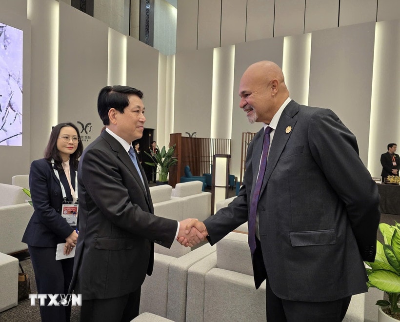 Chủ tịch nước Lương Cường gặp Phó Thủ tướng, Trưởng đoàn Papua New Guinea John Rosso. (Ảnh: TTXVN phát)