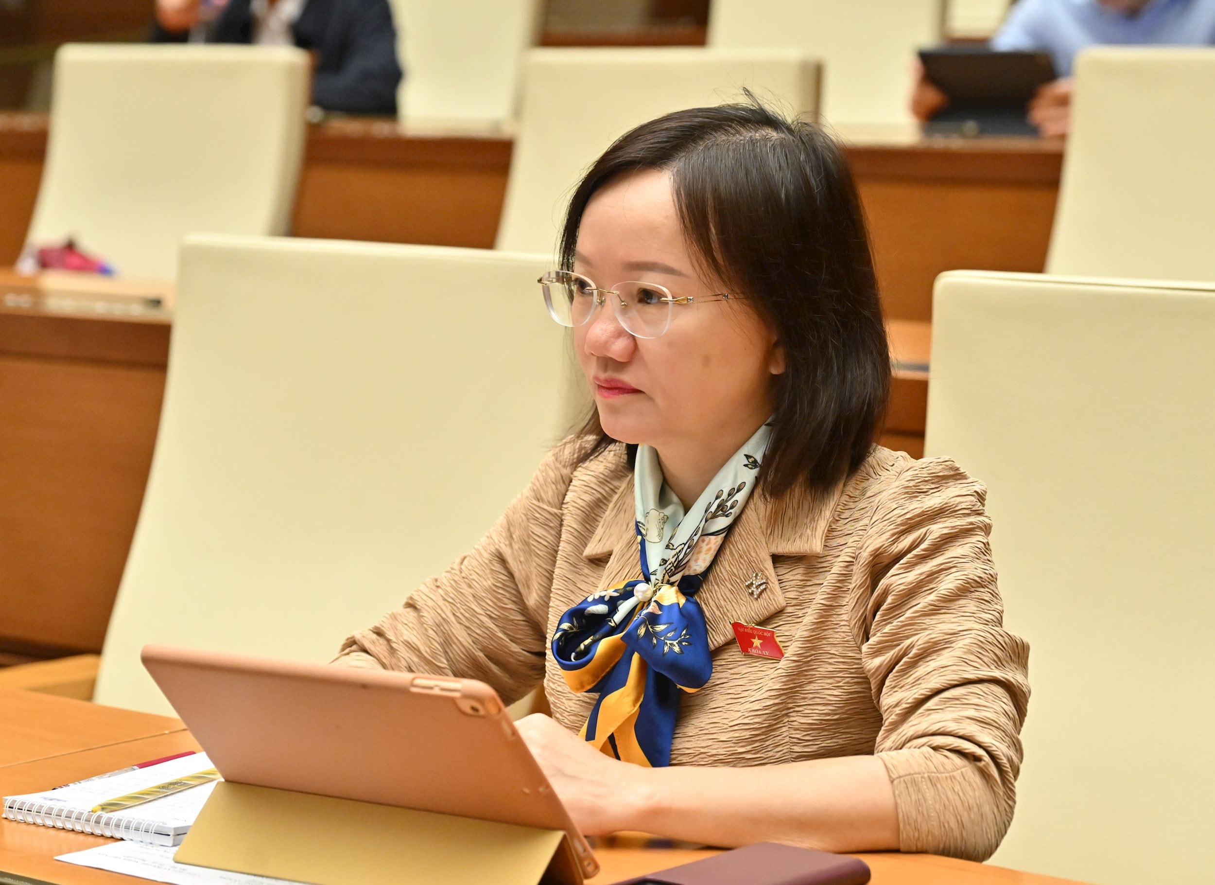 Các đại biểu dự phiên họpVQK_4727