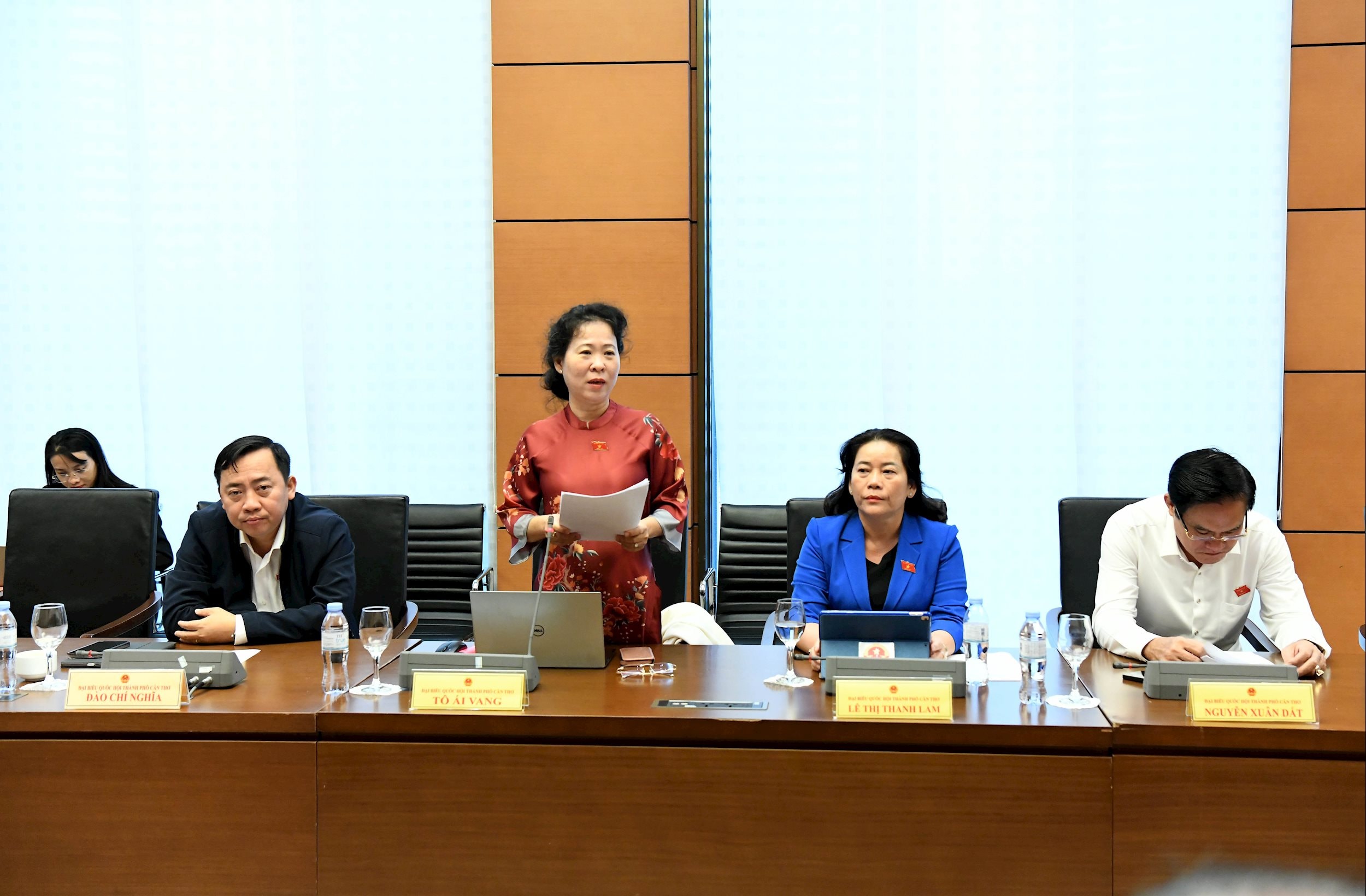 ĐB Tô Ái Vang, Đoàn ĐBQH Thành phố Cần Thơ.2