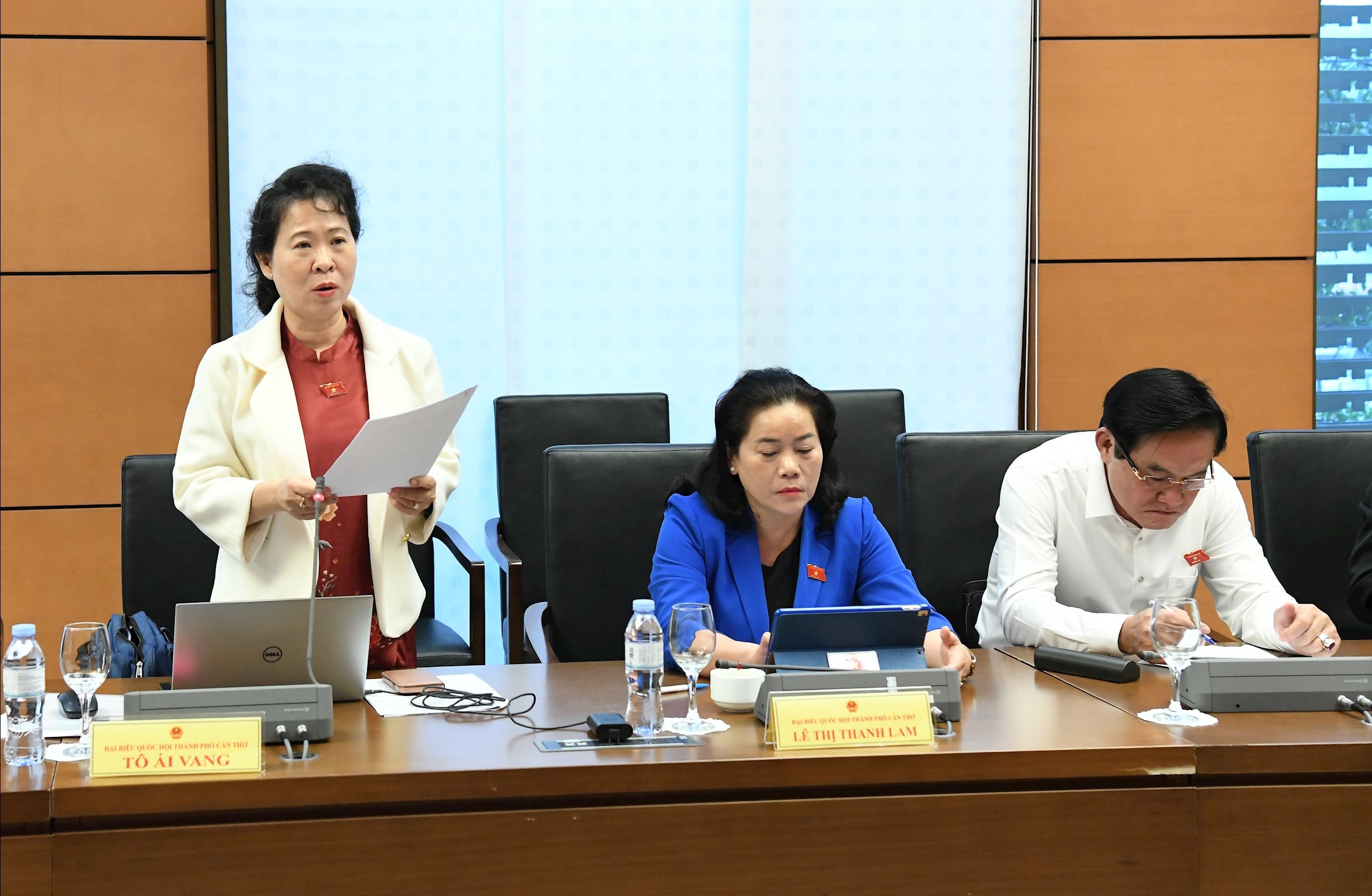 ĐB Tô Ái Vang, Đoàn ĐBQH Thành phố Cần Thơ