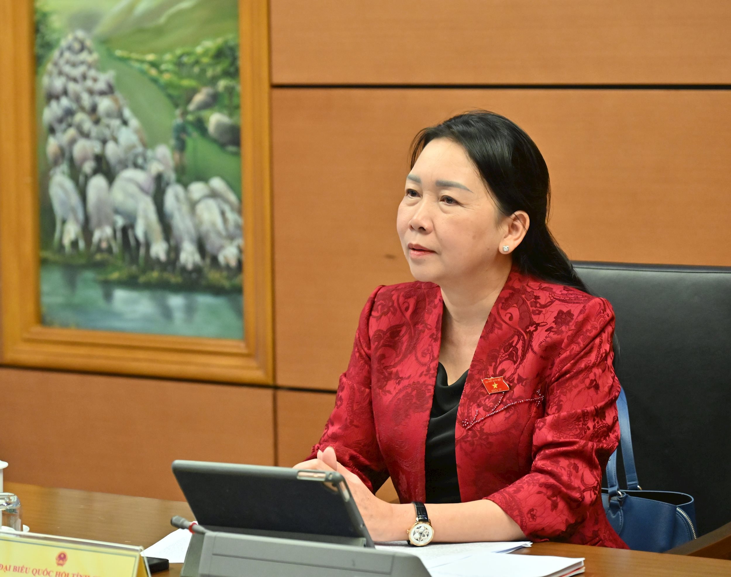 ĐBQH Lý Tiết Hạnh (Gia Lai)