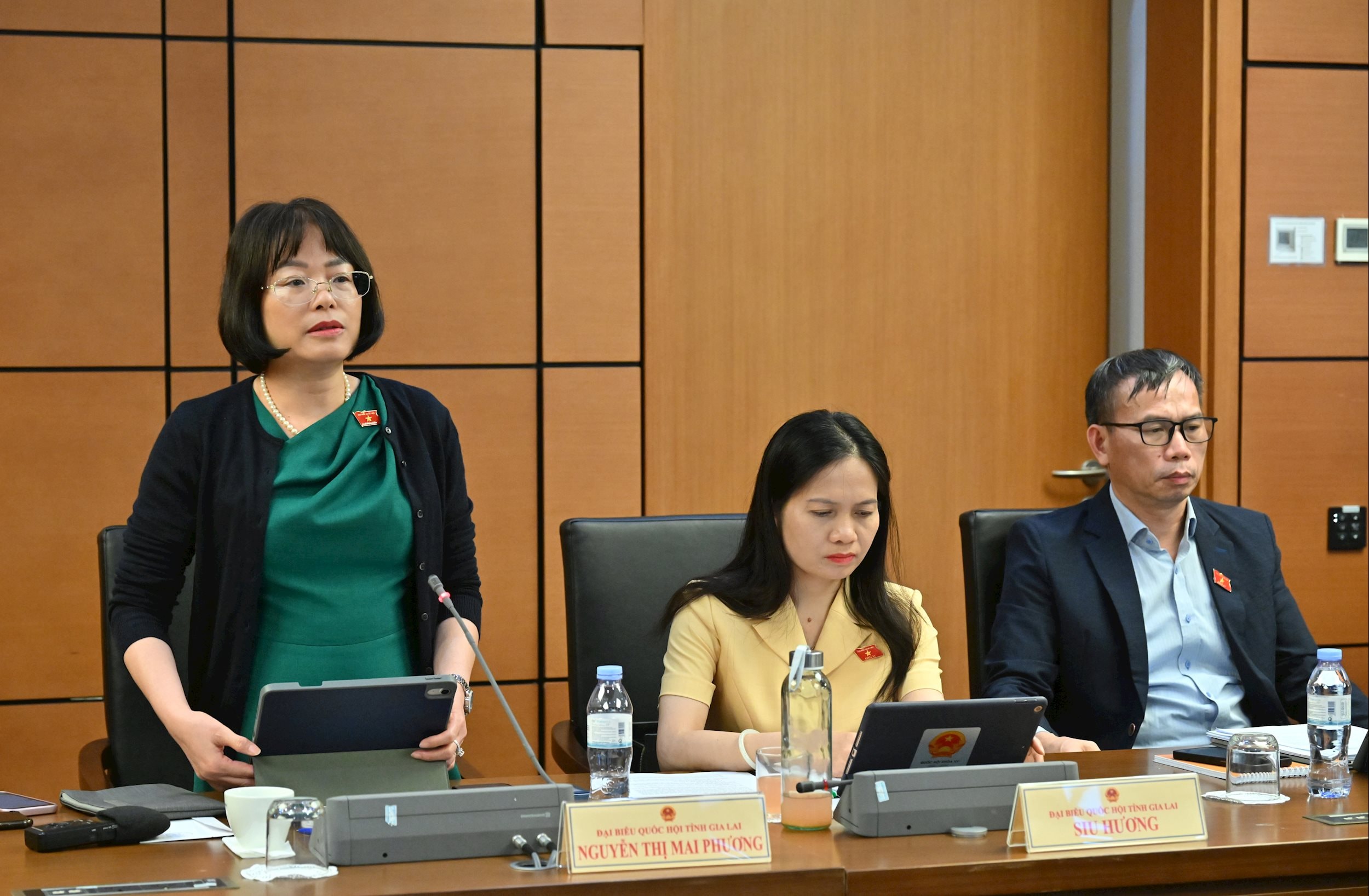 ĐBQH Nguyễn Thị Mai Phương (Gia Lai)