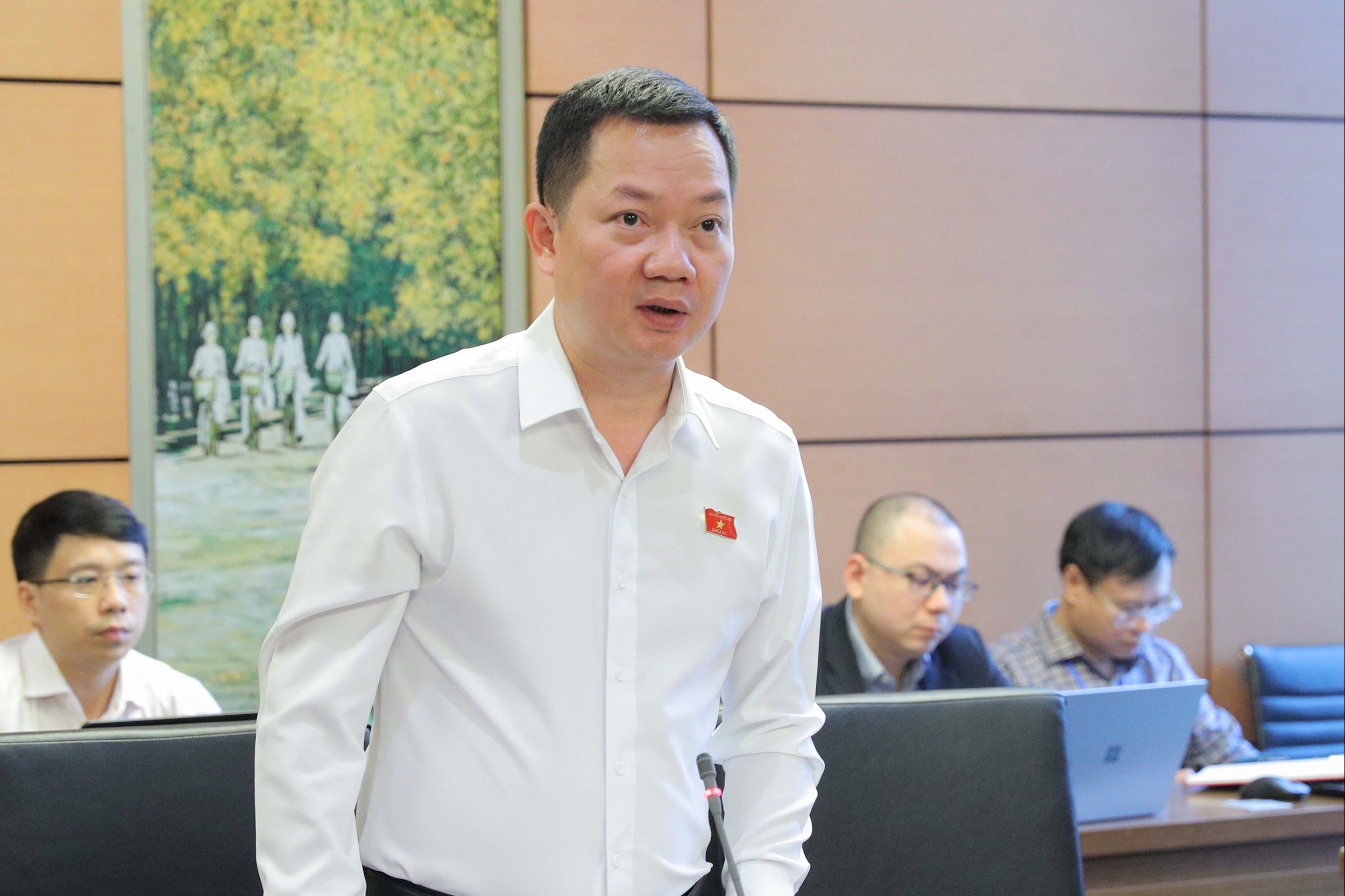 نماینده مجلس ملی ترین شوان آن (دونگ نای)