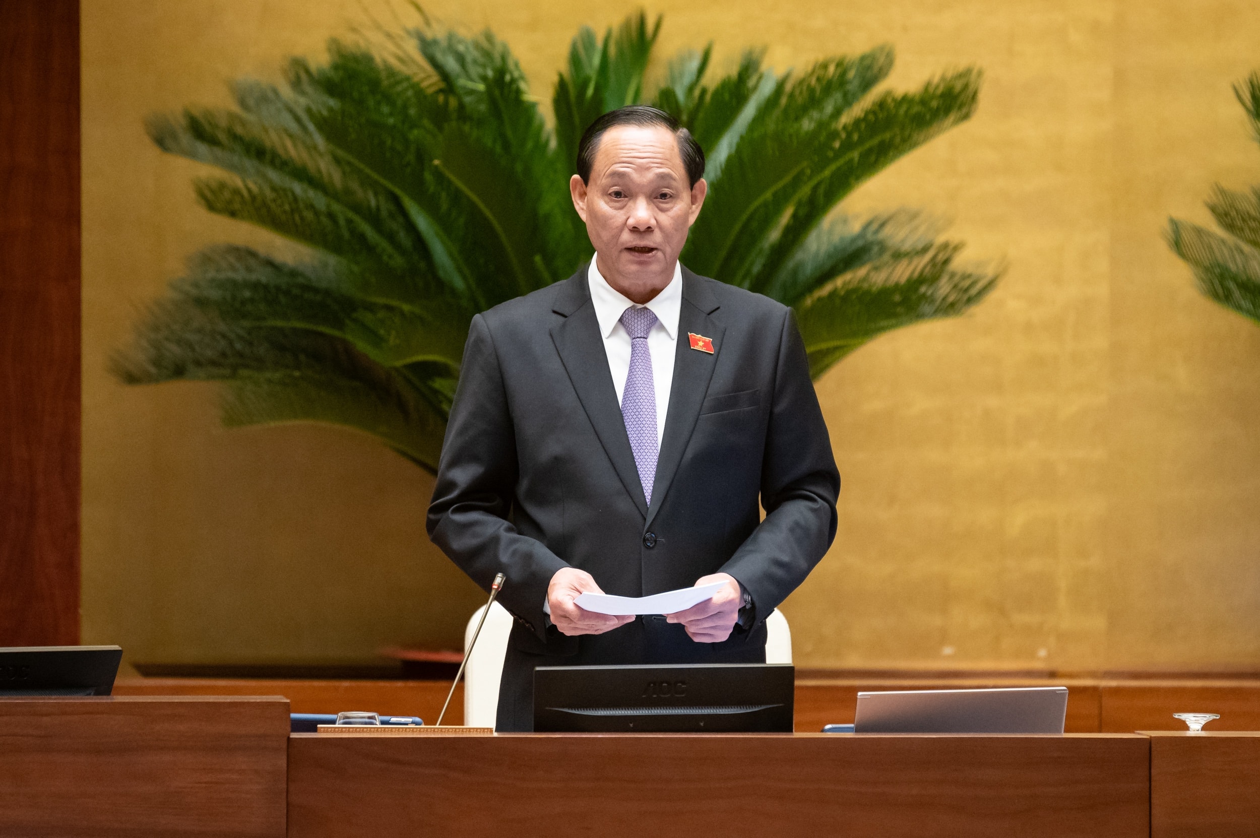 Vice Chairman of the National Assembly, Senior Lieutenant General Tran Quang Phuong chaired the meeting. Photo: Pham Thang