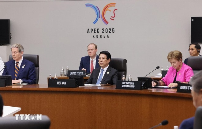 Chủ tịch nước Lương Cường dự Hội nghị Cấp cao Diễn đàn Hợp tác kinh tế châu Á-Thái Bình Dương (APEC) lần thứ 32. (Ảnh: Lâm Khánh/TTXVN) ttxvn-3110-chu-tich-nuoc-apec-7.jpg