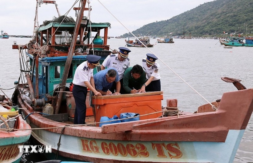 Raising awareness among vessel owners about legal regulations on combating IUU fishing. (Photo: VNA)