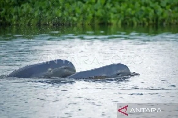shutterstock_2508127943-700x455.jpg