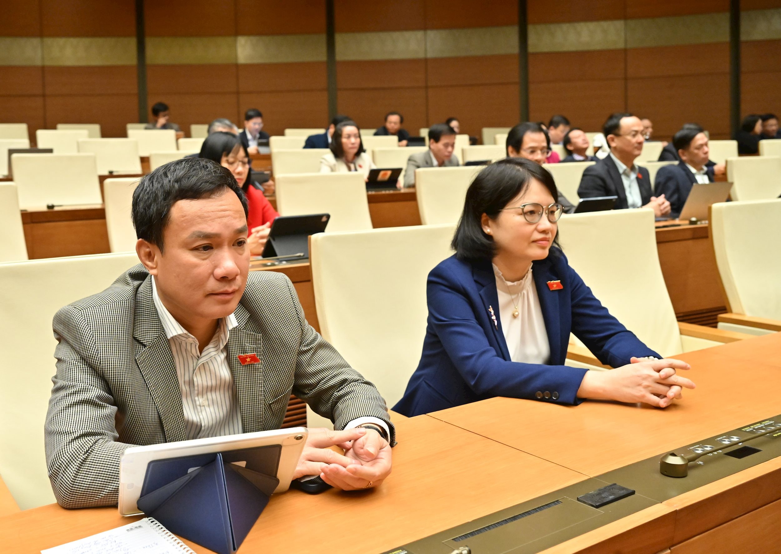 Các đại biểu tại phiên họpVQK_5145