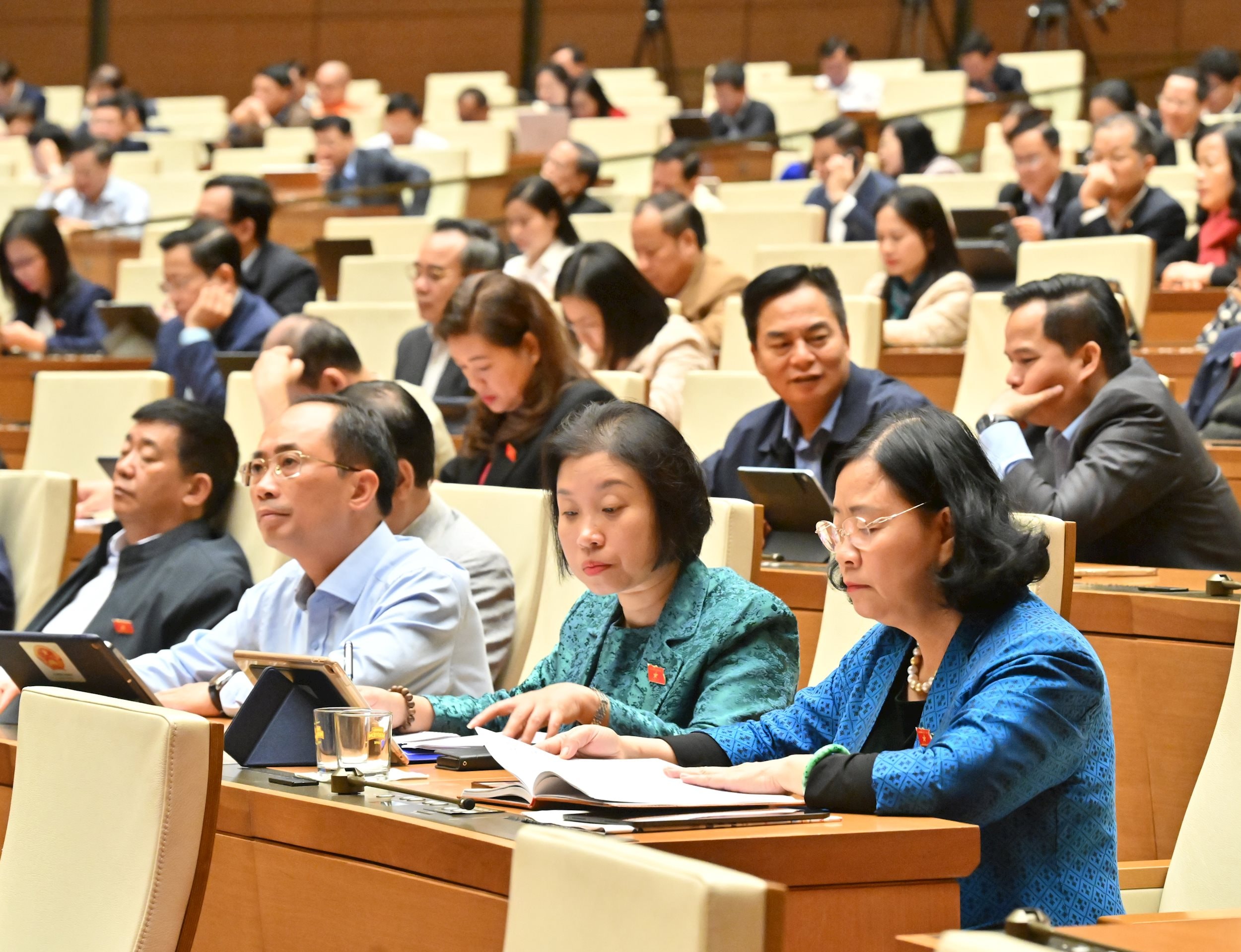 Các đại biểu tại phiên họpVQK_5240