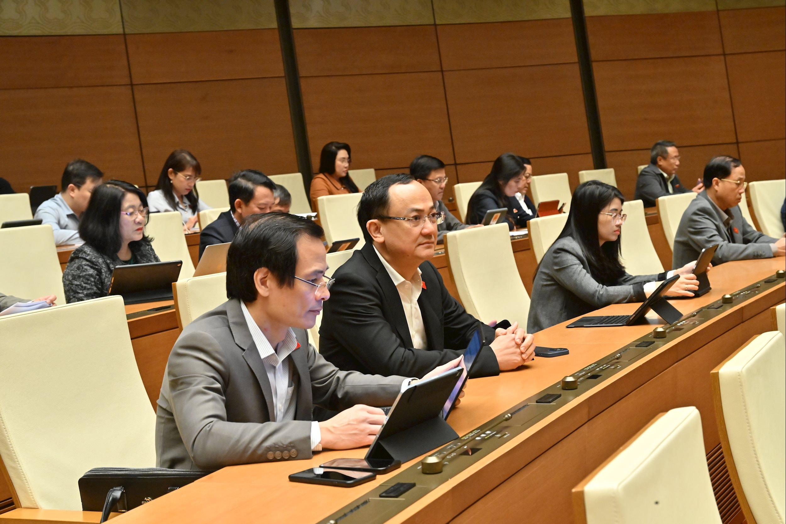 Các đại biểu tại phiên họpVQK_5495