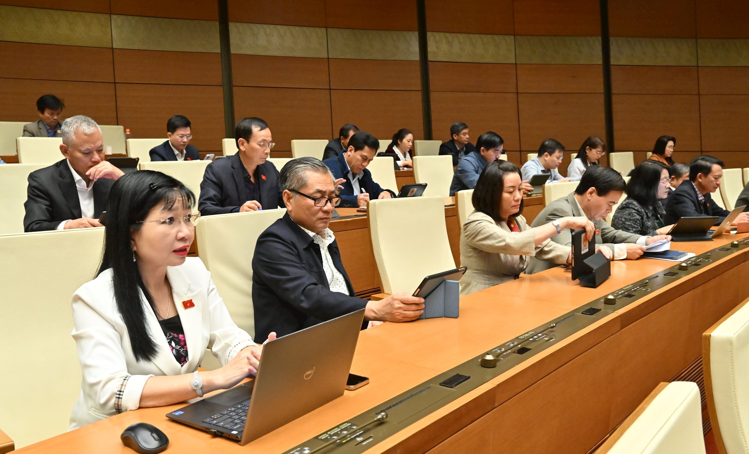 Các đại biểu tại phiên họpVQK_5499