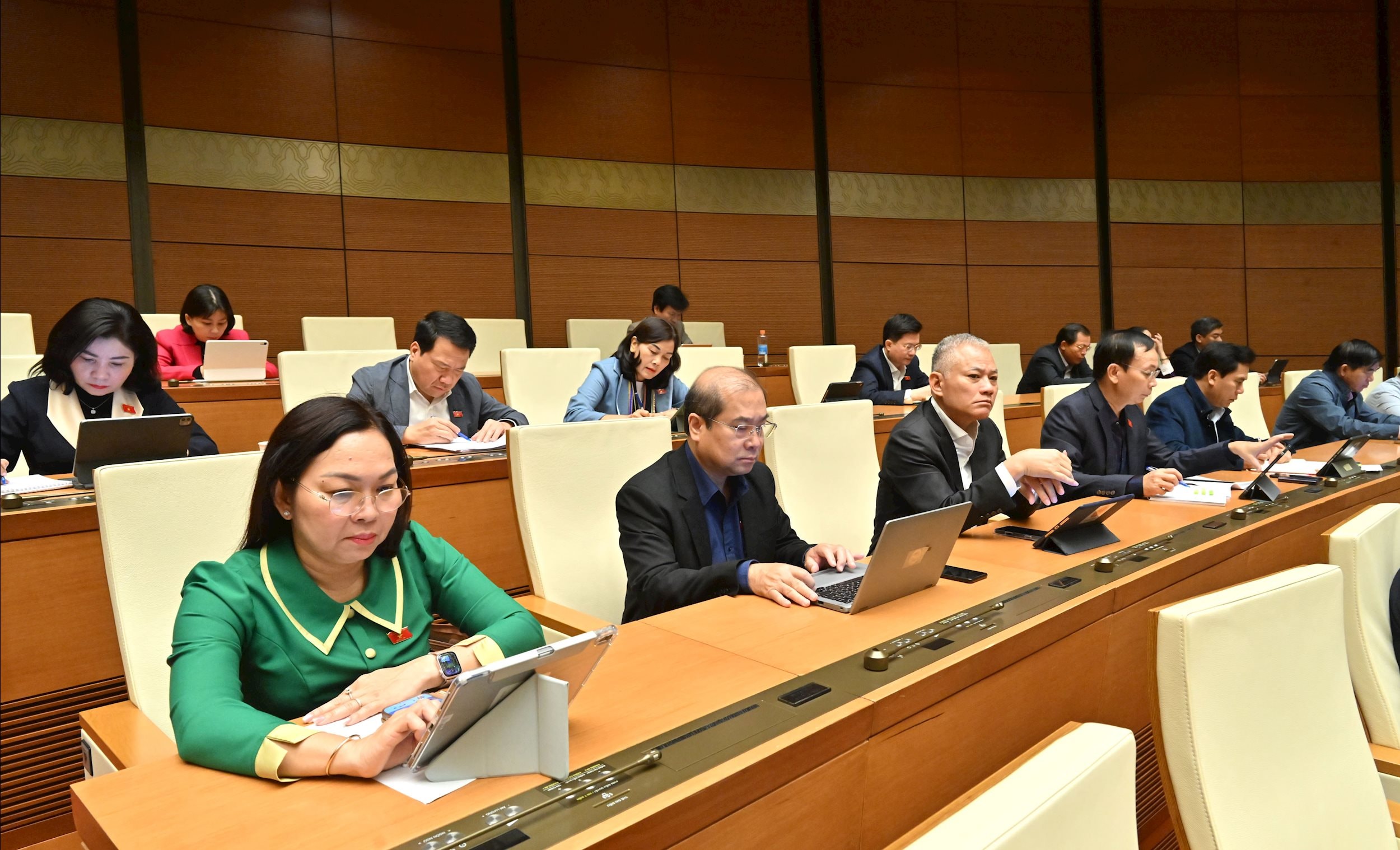 Các đại biểu tại phiên họpVQK_5502