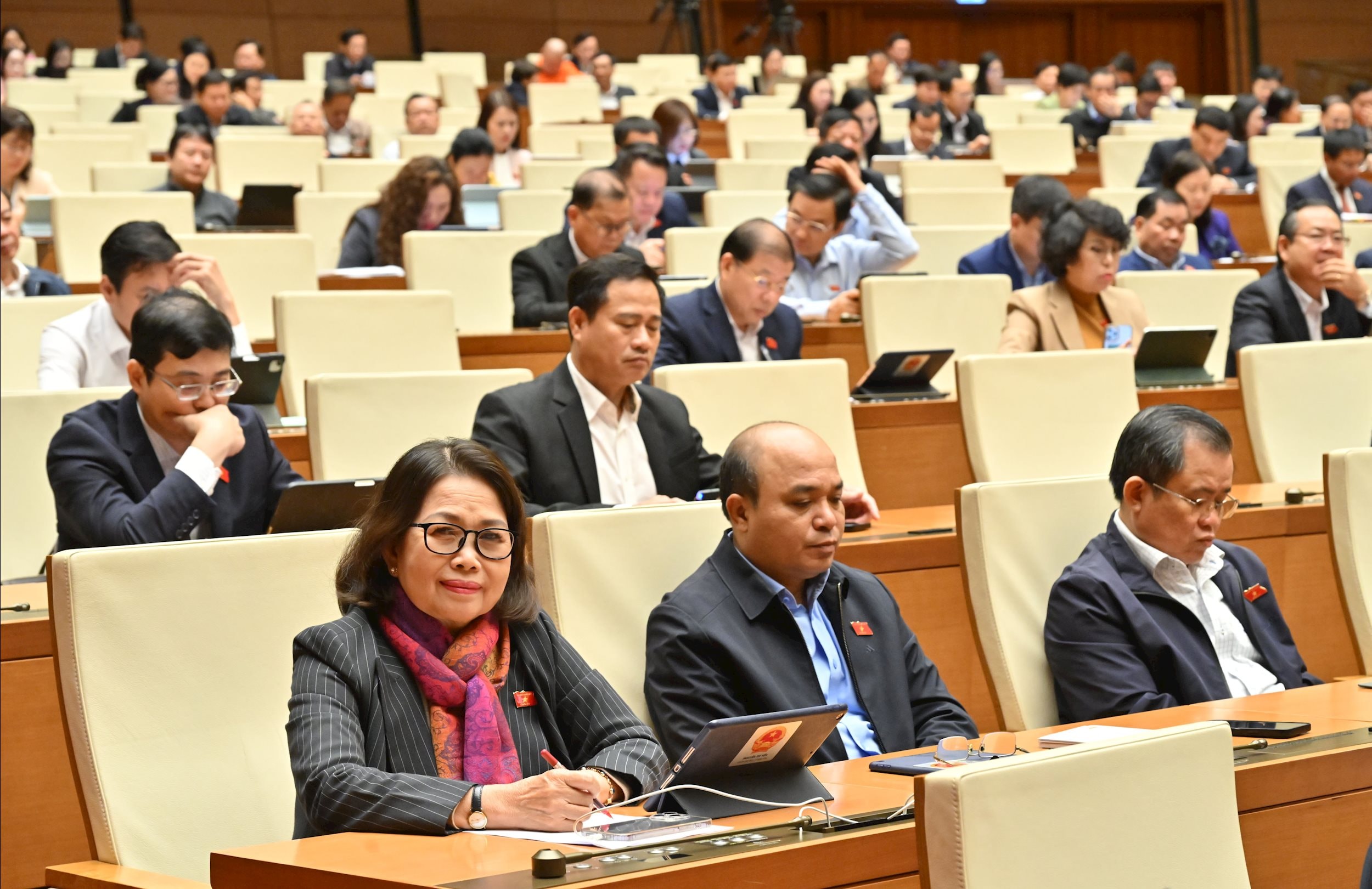 Các đại biểu tại phiên họpVQK_5537