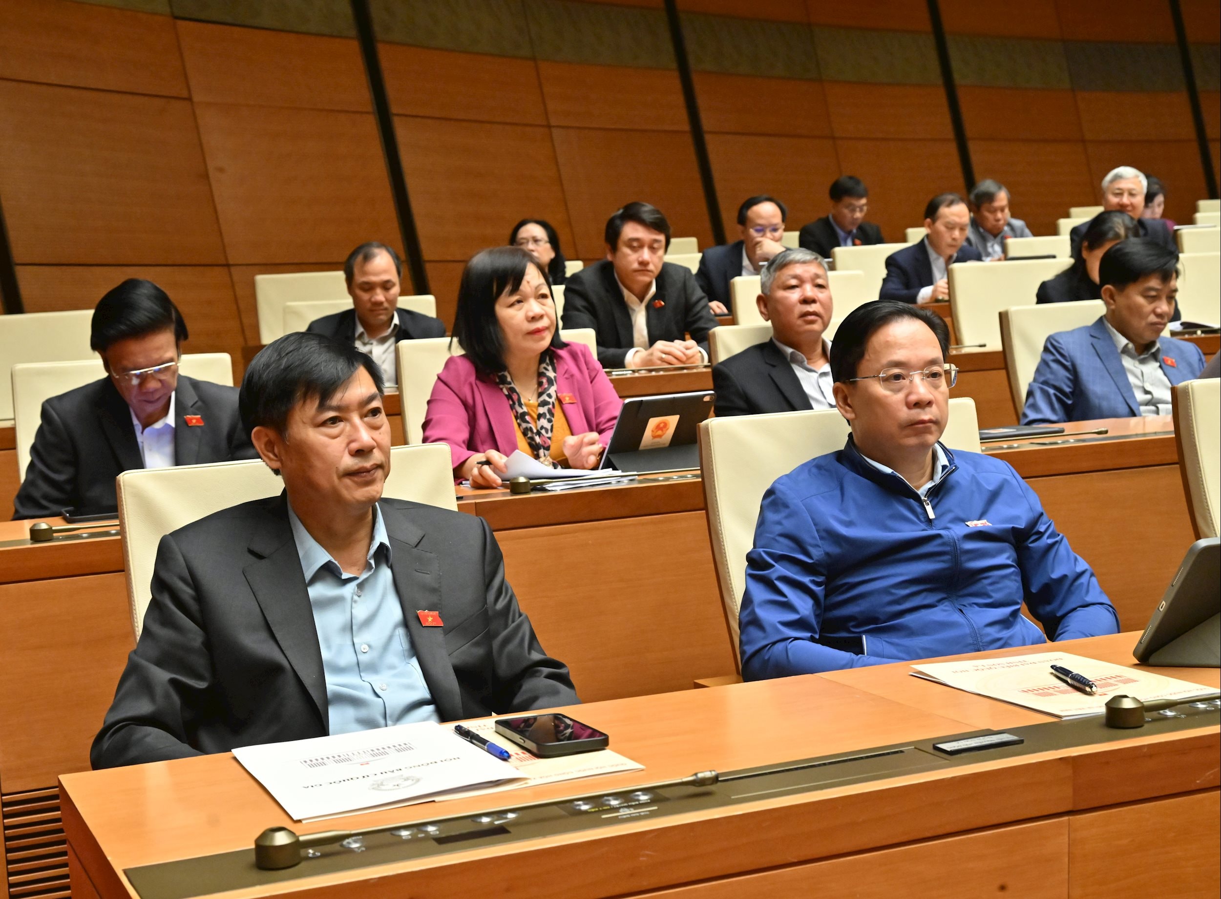 Các đại biểu tại phiên họpVQK_5572