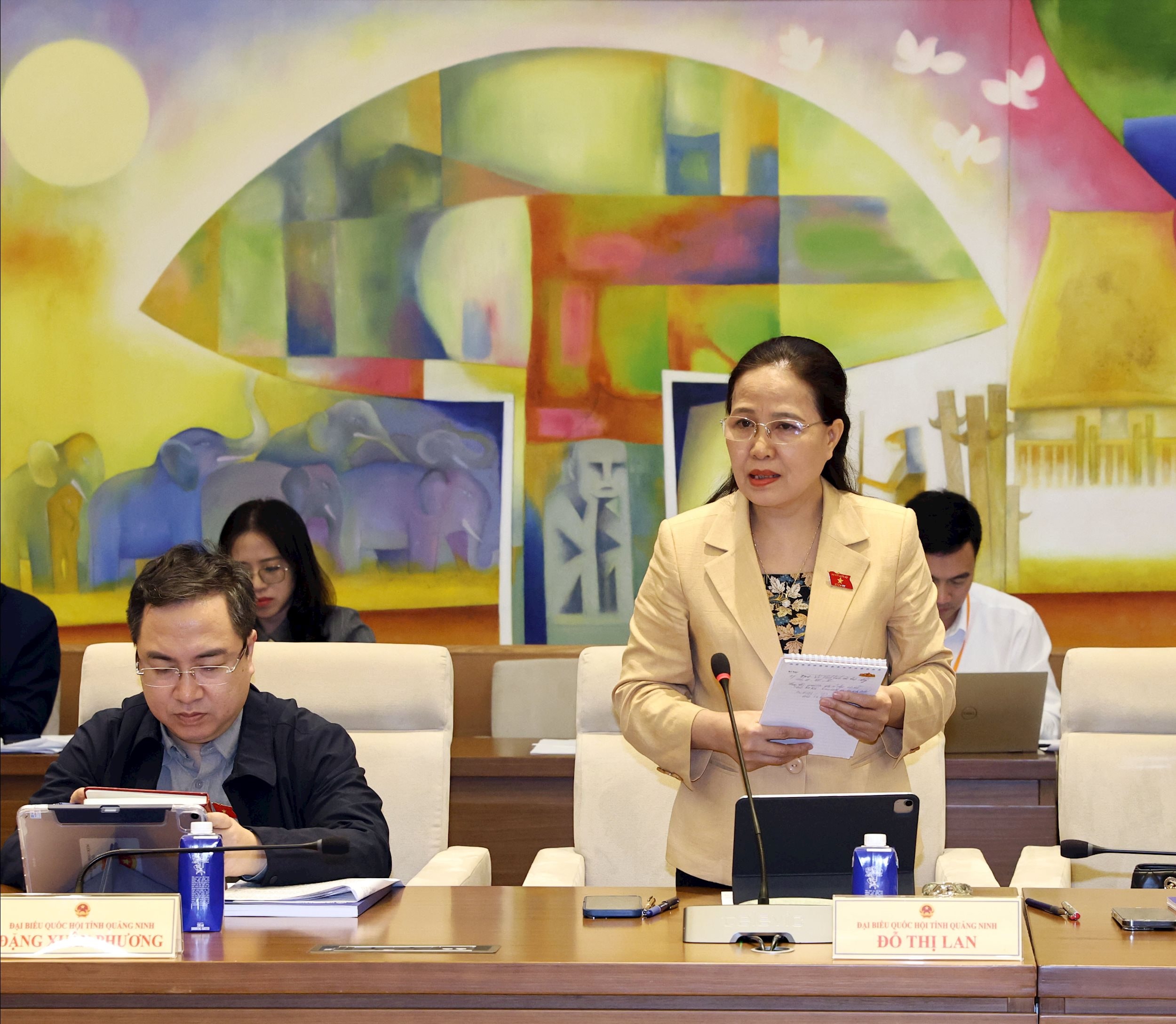 ĐBQH Đỗ Thị Lan (Quảng Ninh) phát biểu