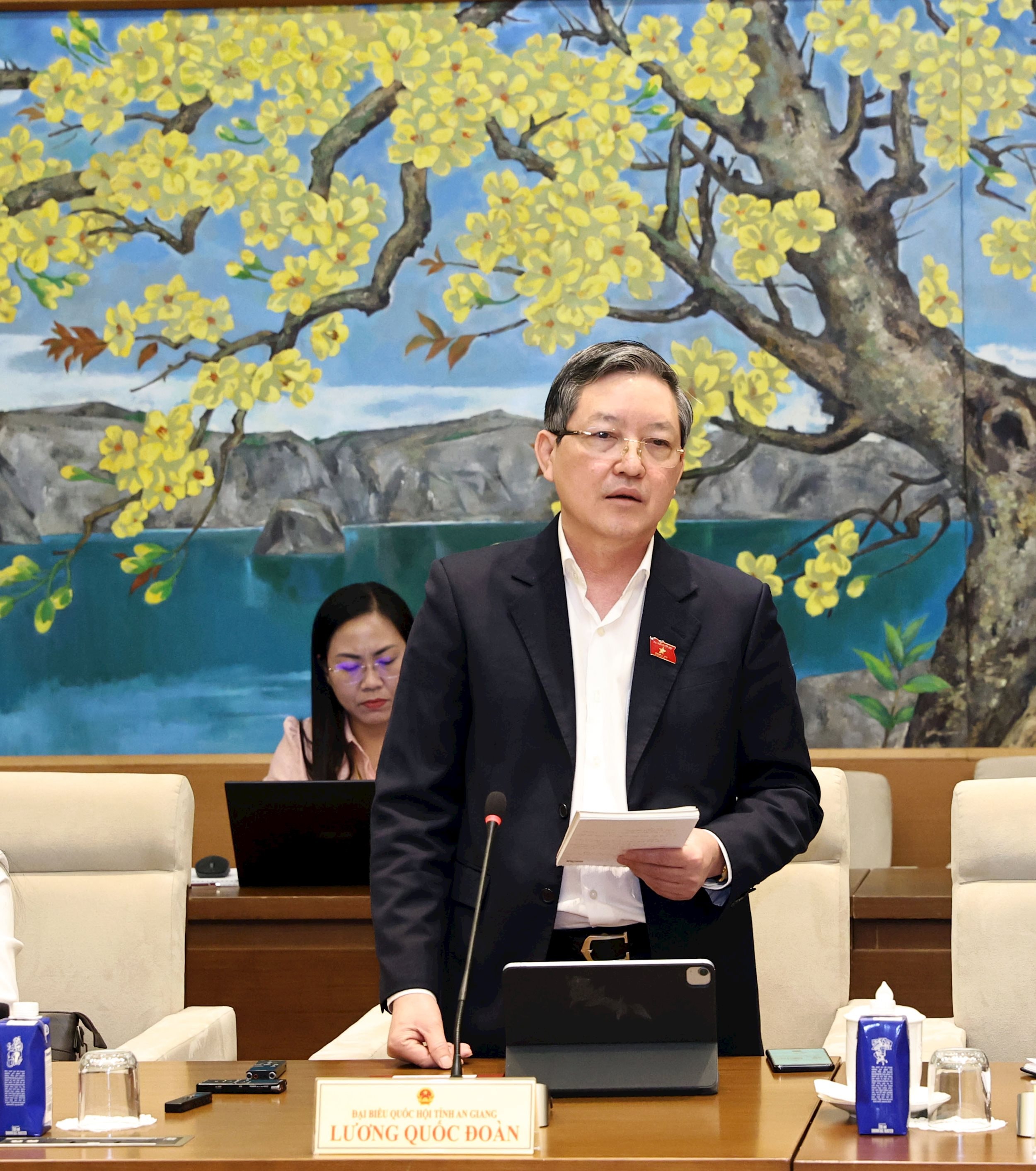 ĐBQH Lương Quốc Đoàn (An Giang) phát biểu