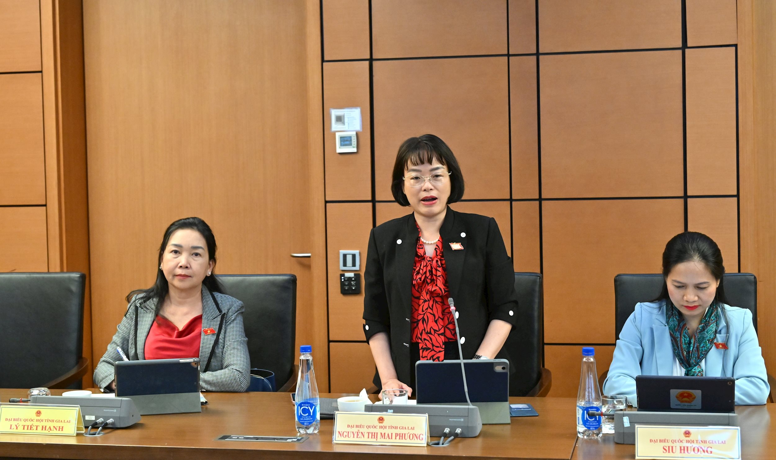 ĐBQH Nguyễn Thị Mai Phương (Gia Lai)