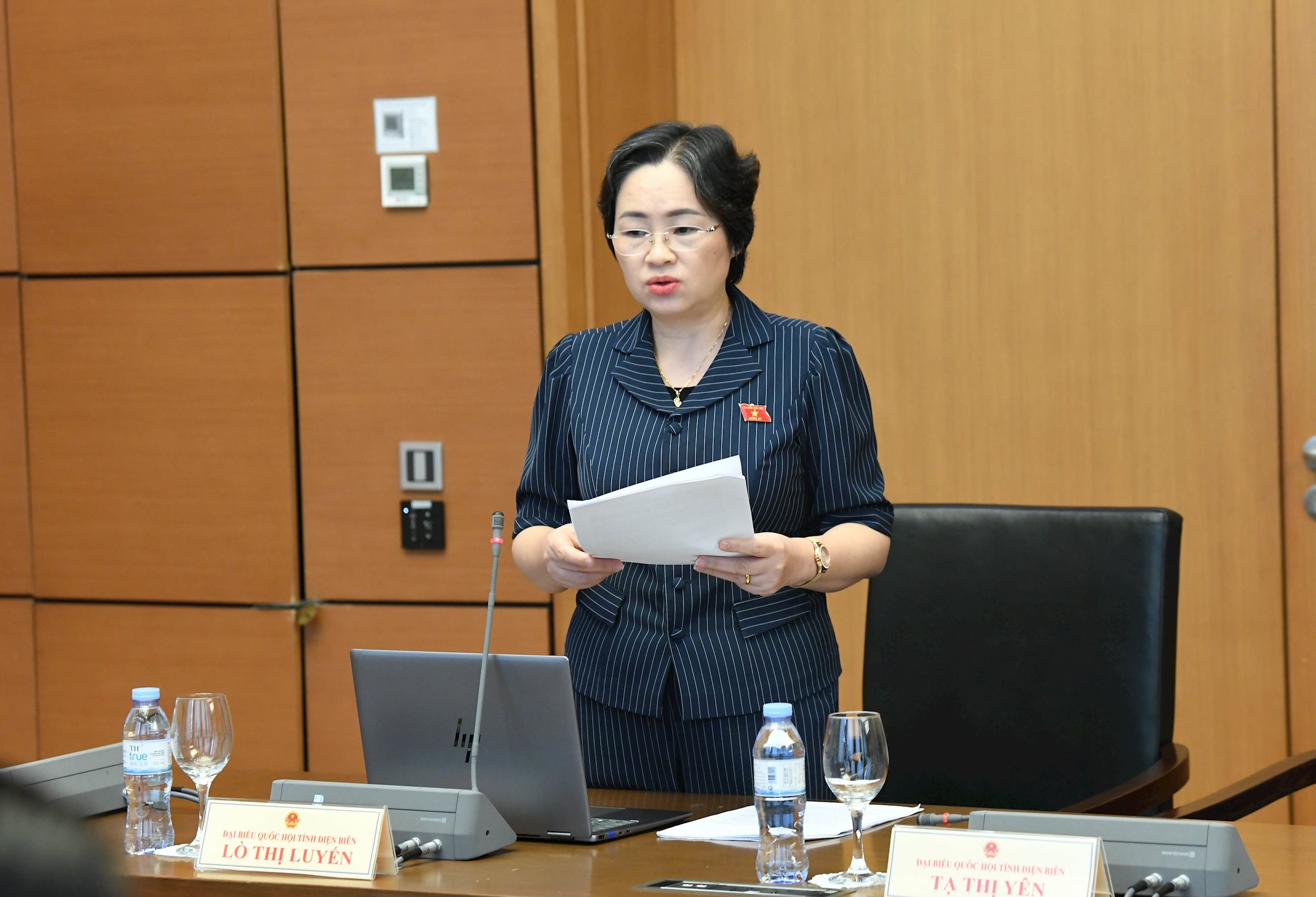 Đại biểu Lò Thị Luyến, Đoàn ĐBQH Điện Biên