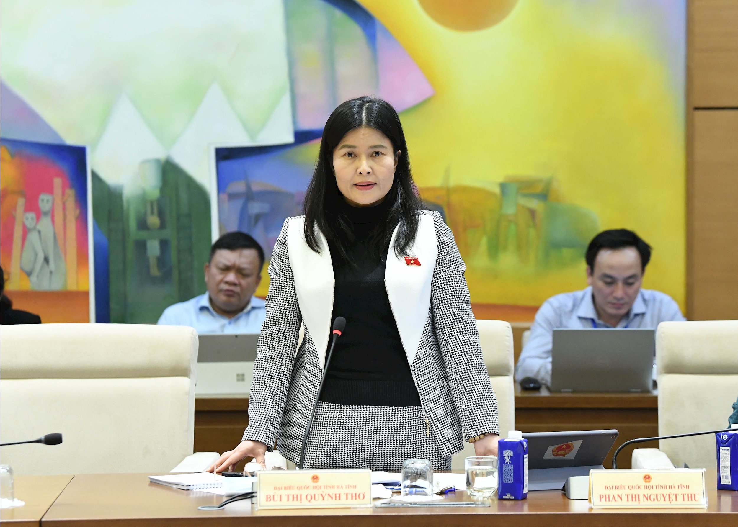 ĐB Bùi Thị Quỳnh Thơ, Đoàn ĐBQH Hà Tĩnh1